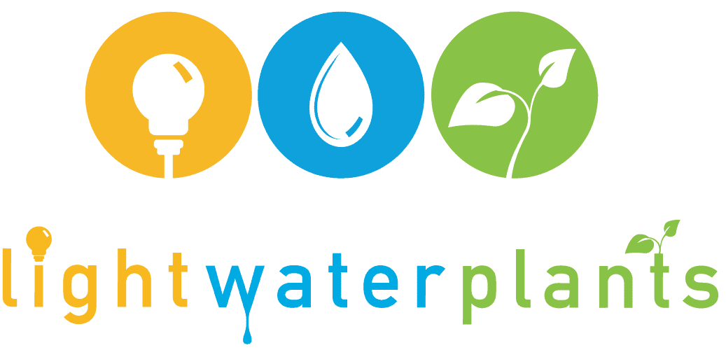Light Water Plants