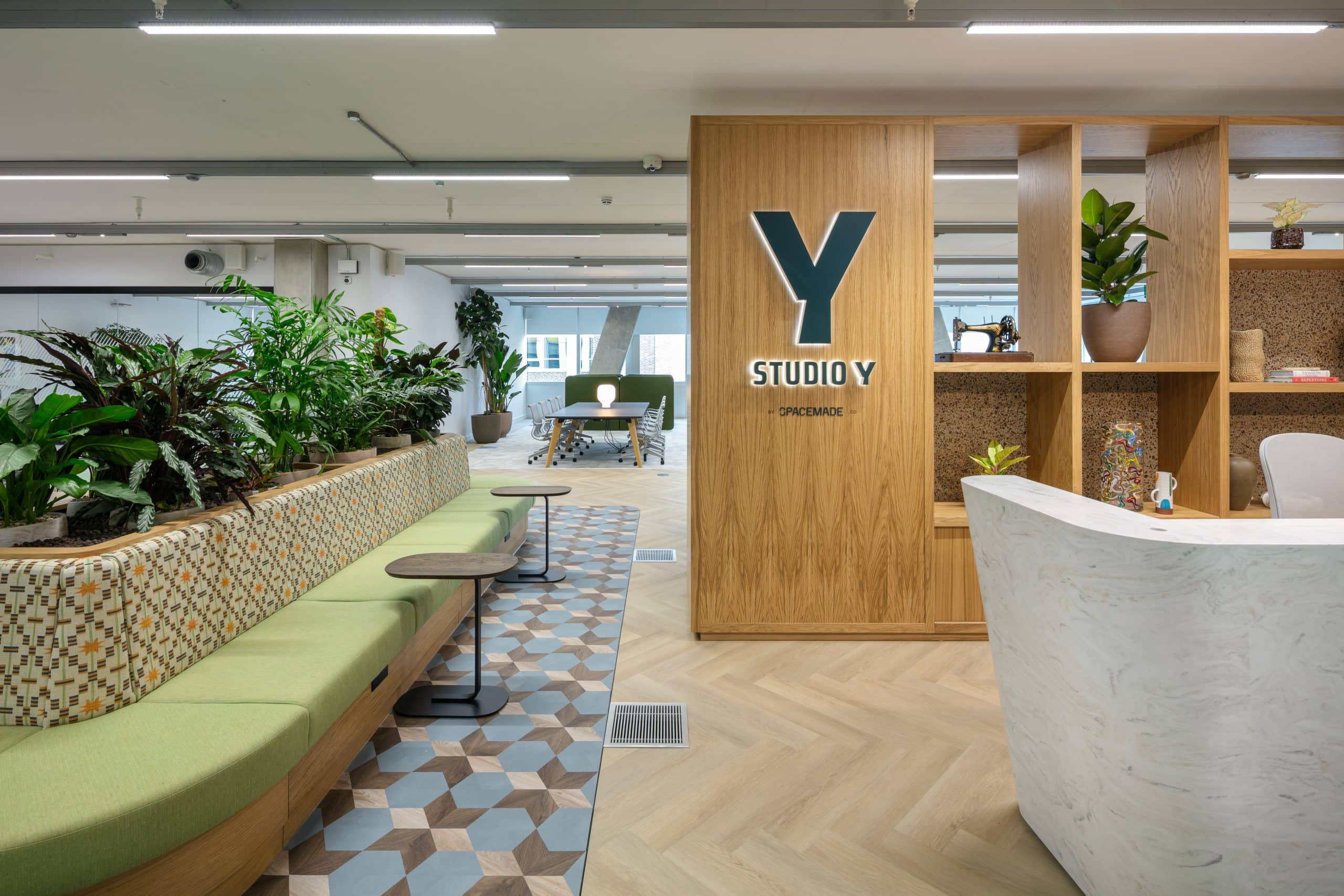 Light Water Plants, Supply and Maintenance of Office Plants, London & the South