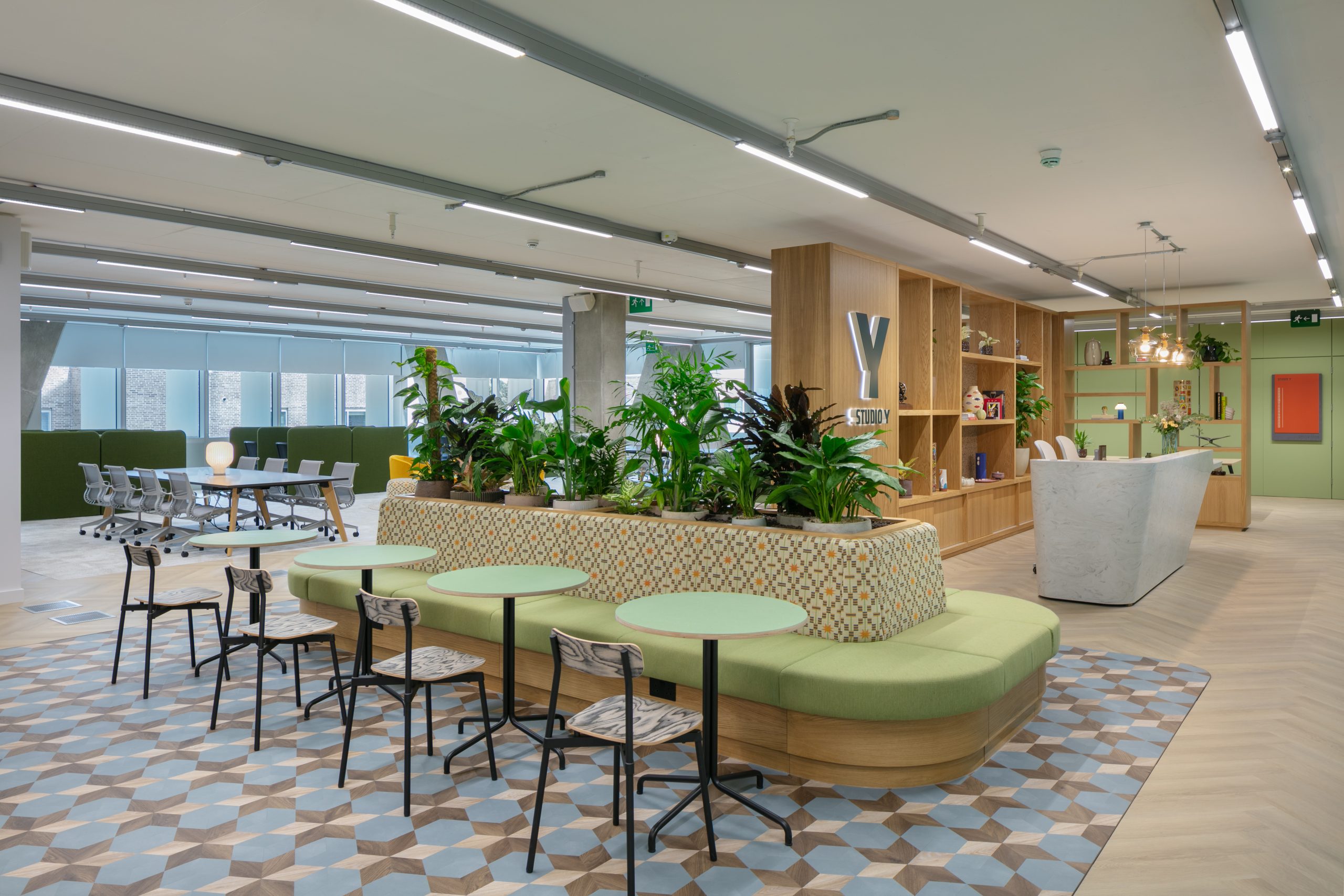 Light Water Plants, Supply and Maintenance of Office Plants, London & the South