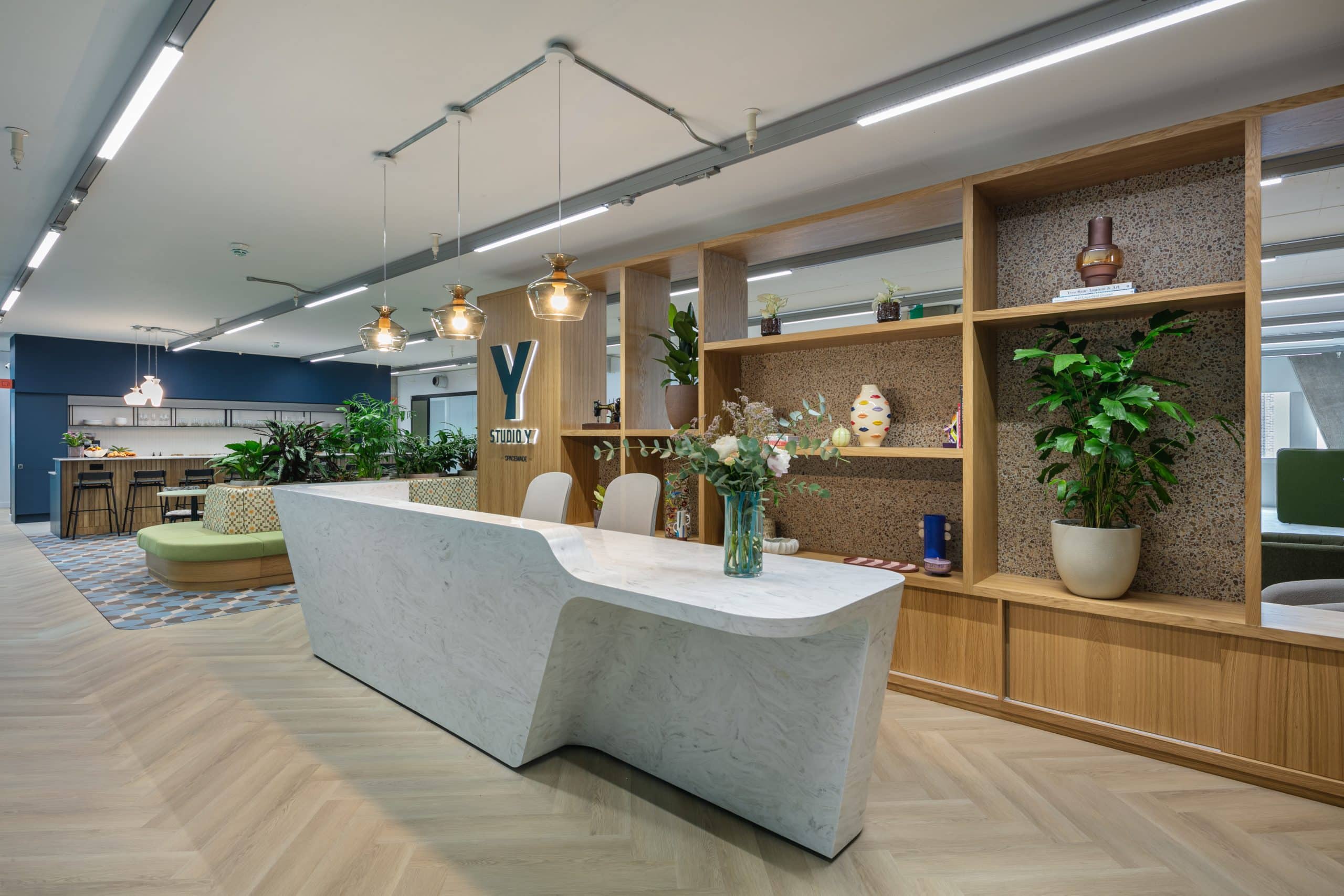 Light Water Plants, Supply and Maintenance of Office Plants, London & the South