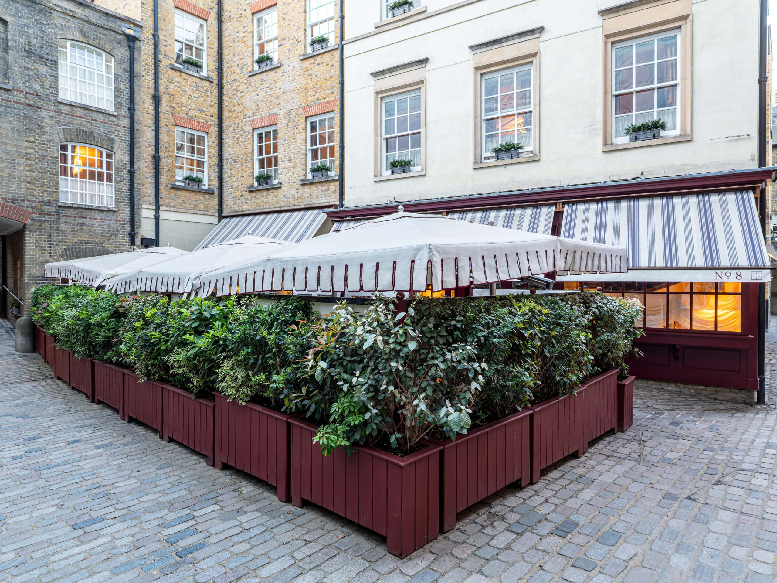 Light Water Plants, Supply and Maintenance of Office Plants, London & the South
