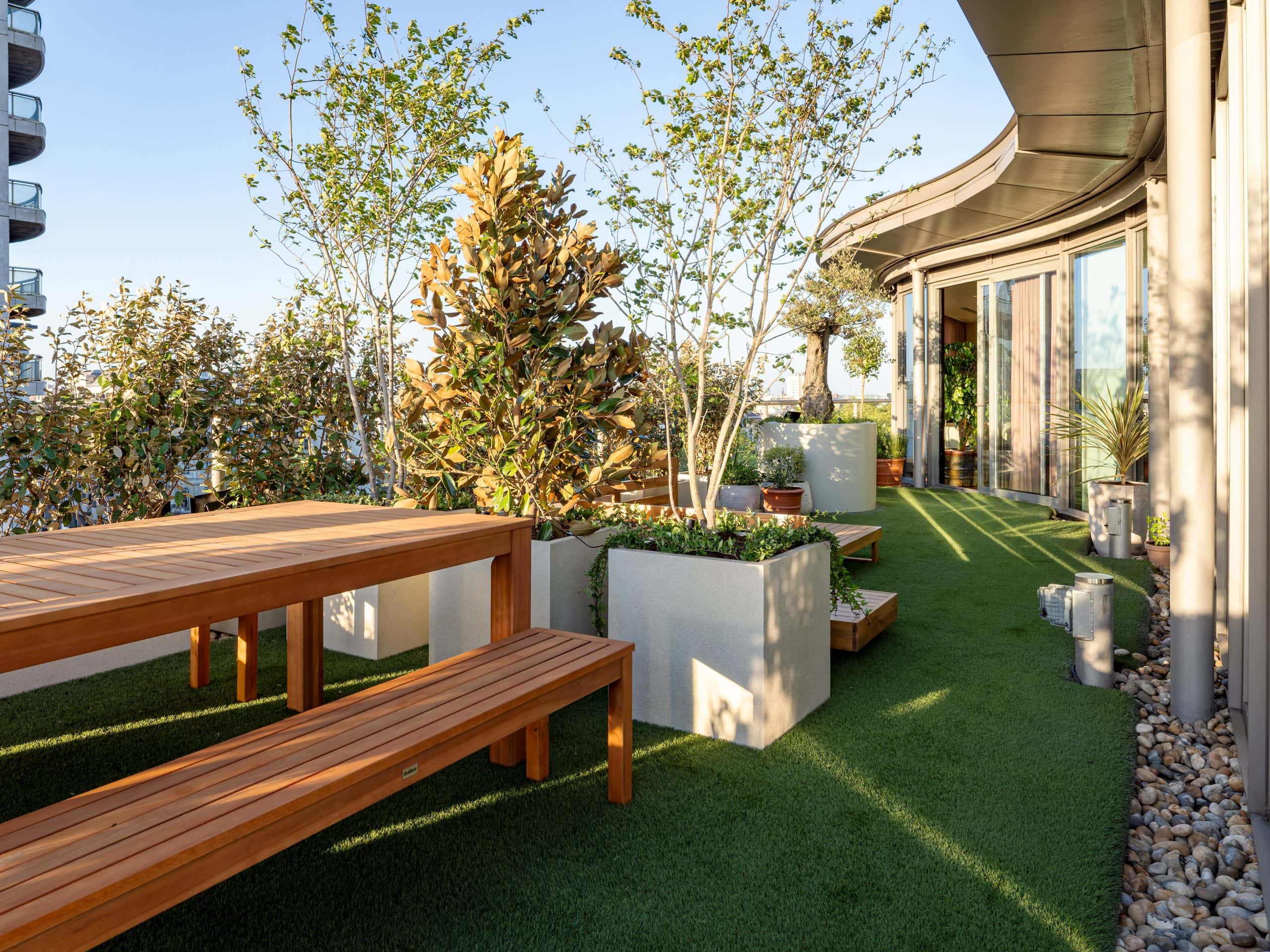 Light Water Plants, Supply and Maintenance of Office Plants, London & the South