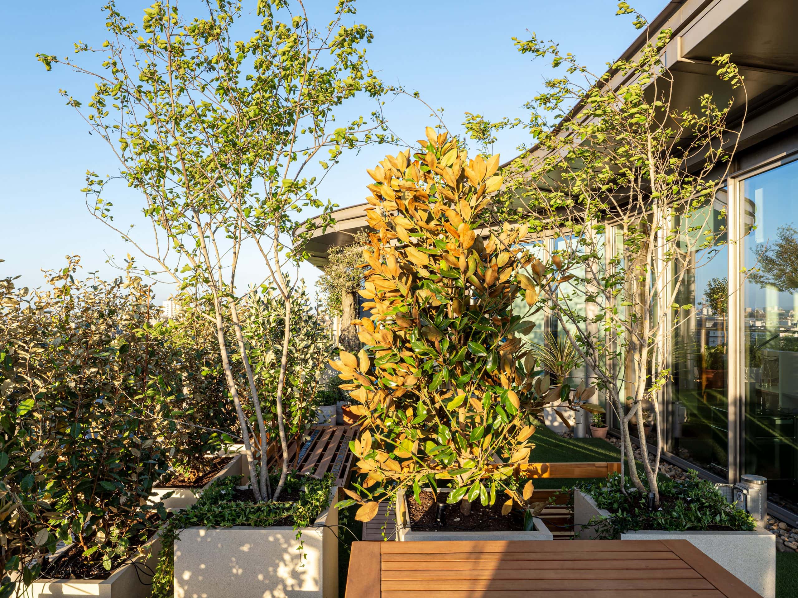 Light Water Plants, Supply and Maintenance of Office Plants, London & the South
