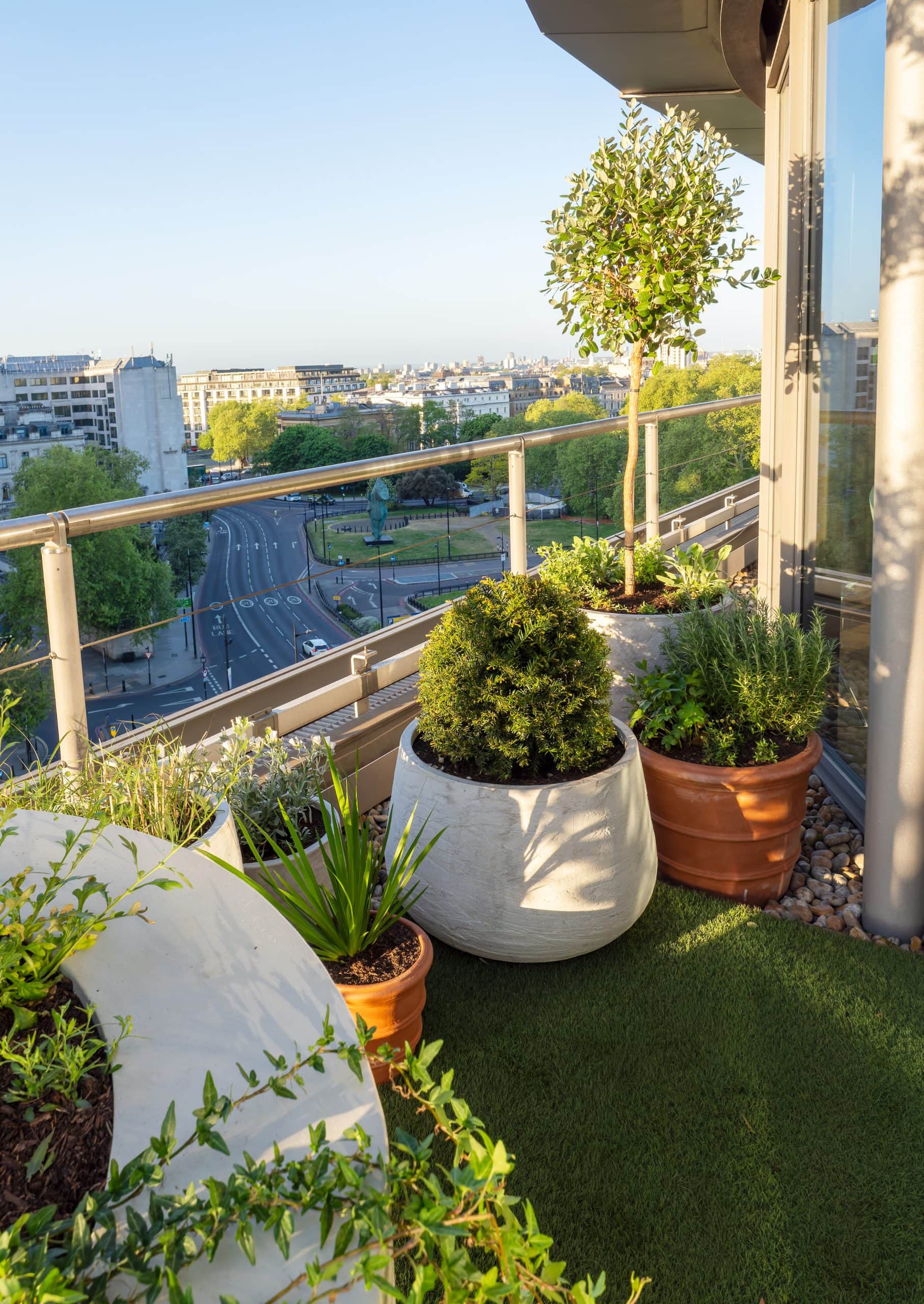 Light Water Plants, Supply and Maintenance of Office Plants, London & the South