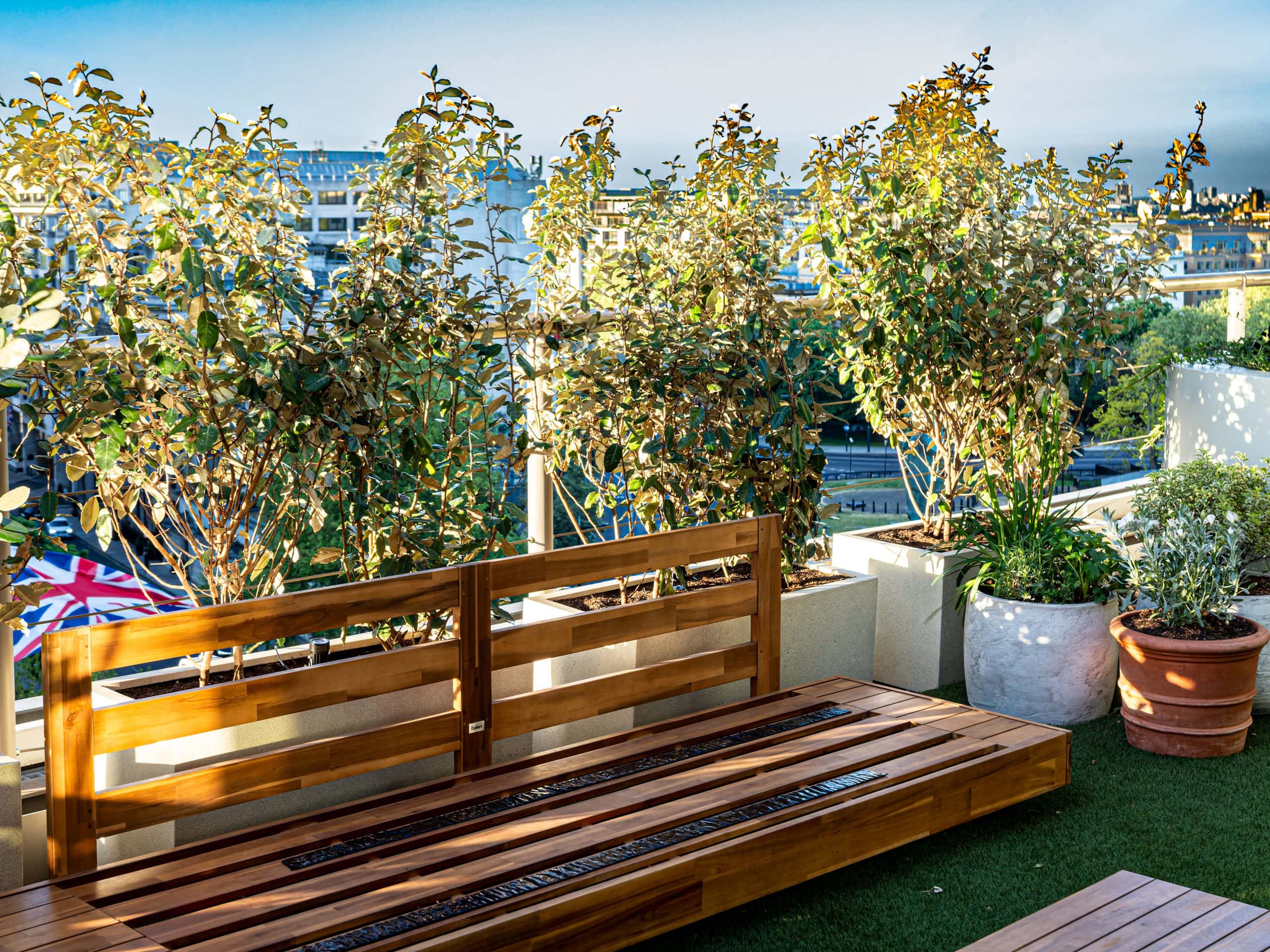 Light Water Plants, Supply and Maintenance of Office Plants, London & the South
