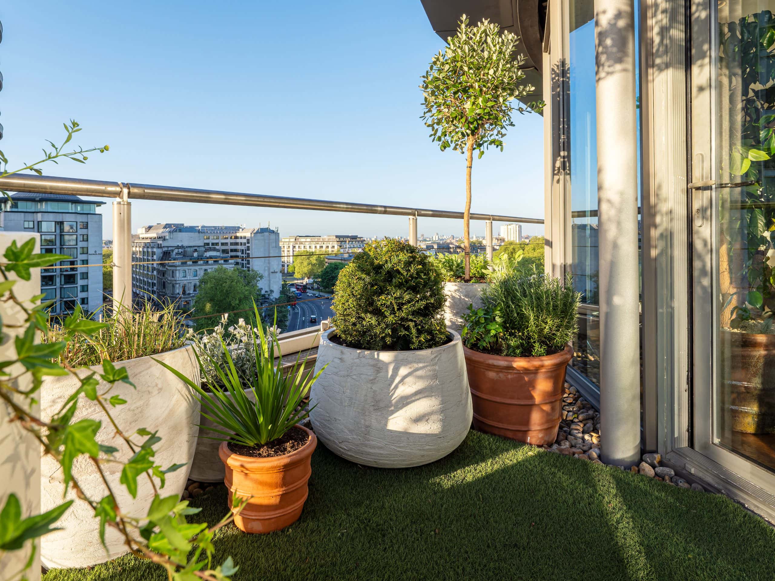Light Water Plants, Supply and Maintenance of Office Plants, London & the South