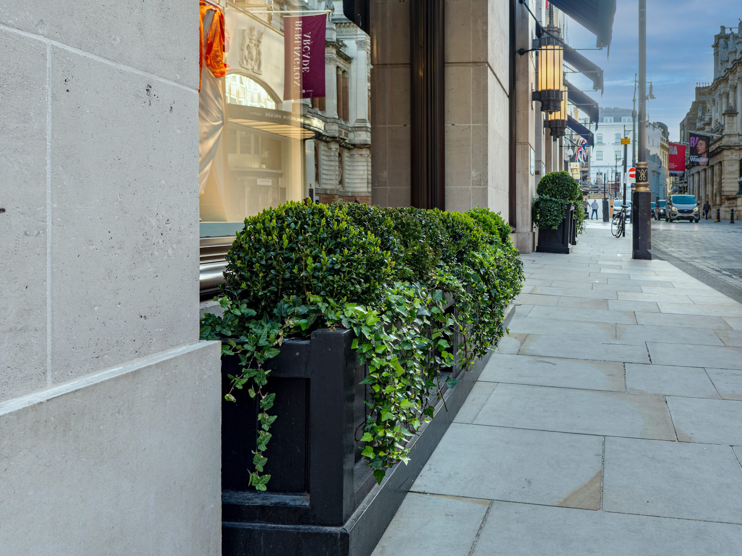Light Water Plants, Supply and Maintenance of Office Plants, London & the South