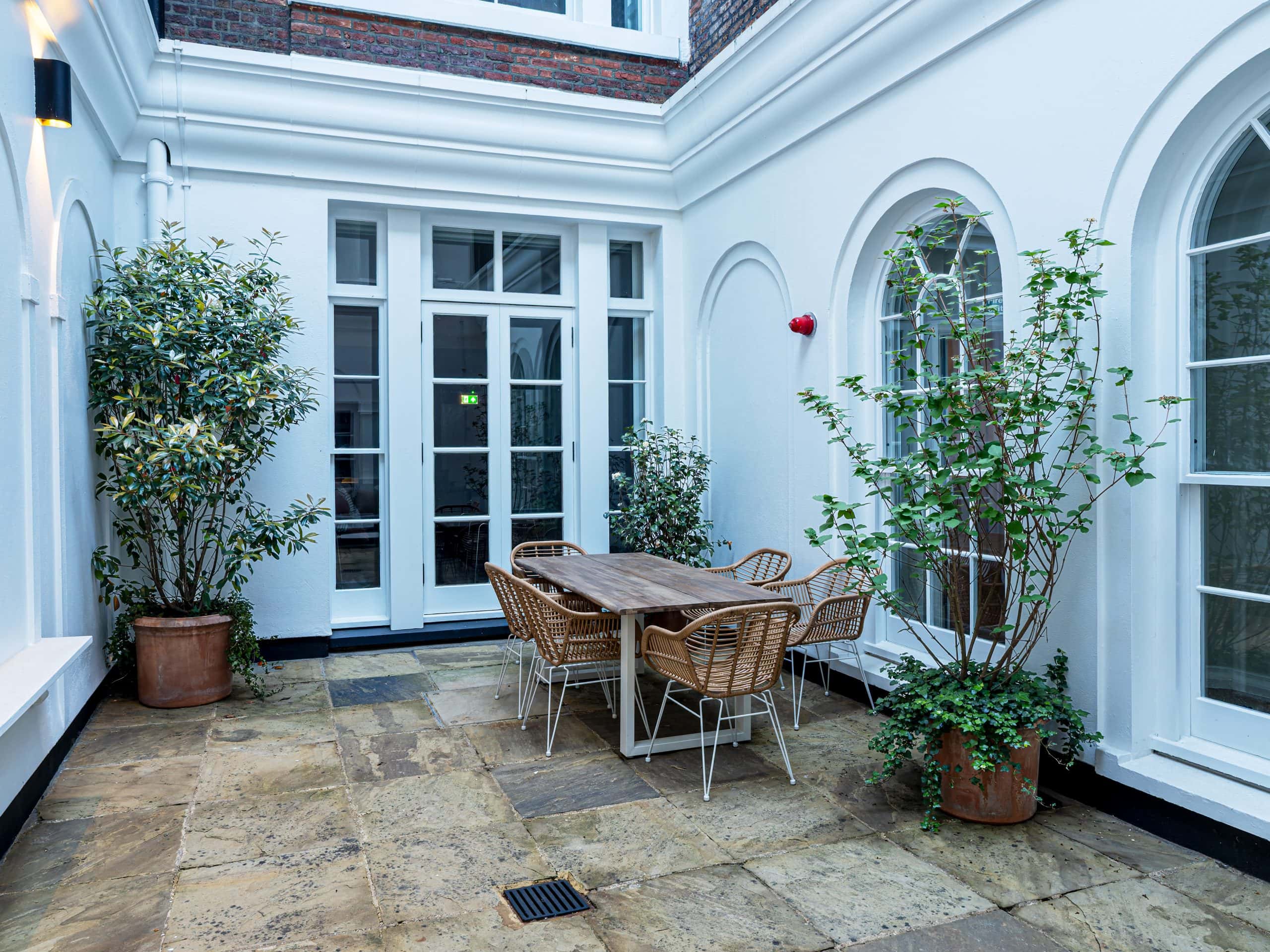 Light Water Plants, Supply and Maintenance of Office Plants, London & the South