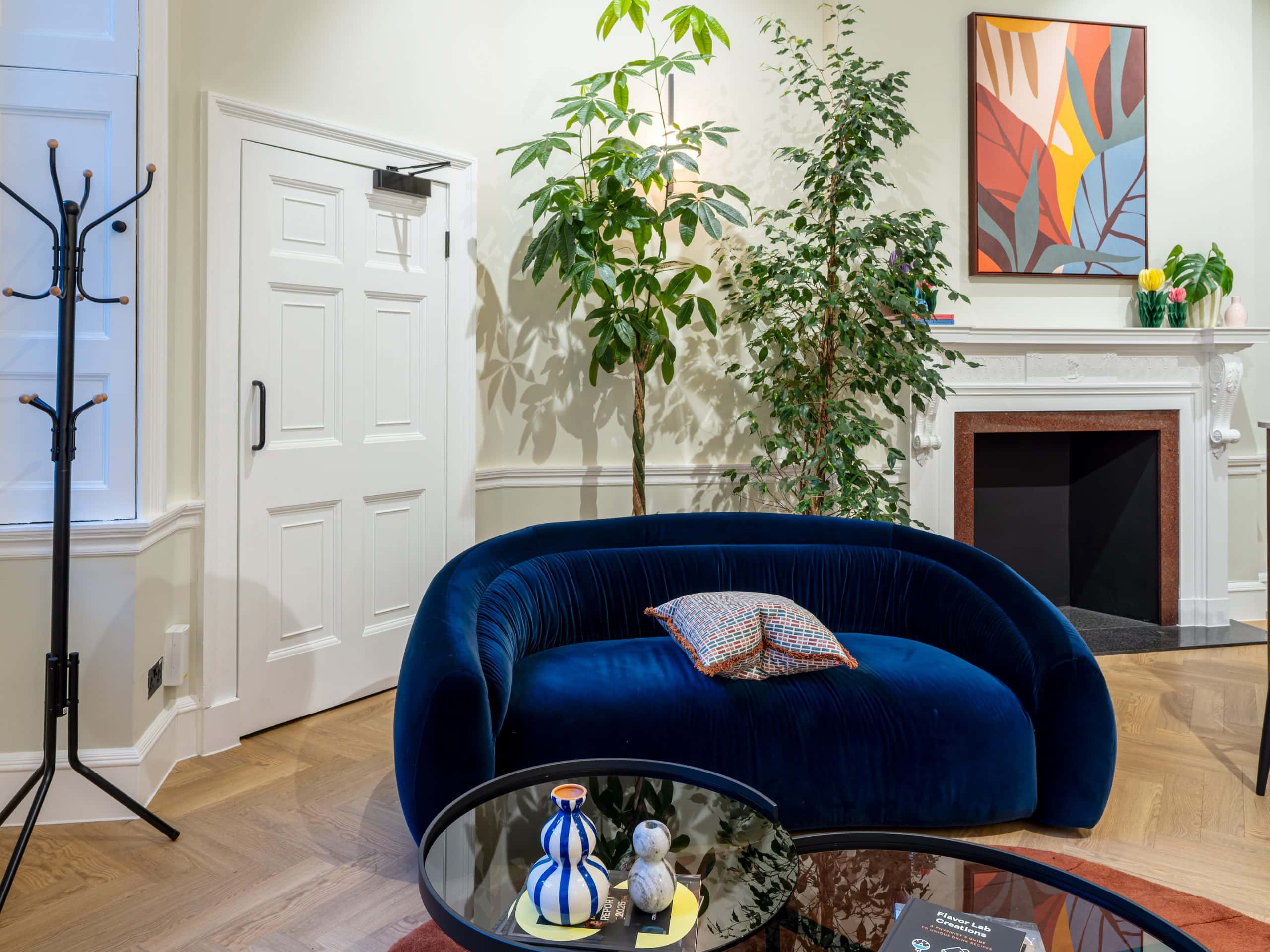 Light Water Plants, Supply and Maintenance of Office Plants, London & the South