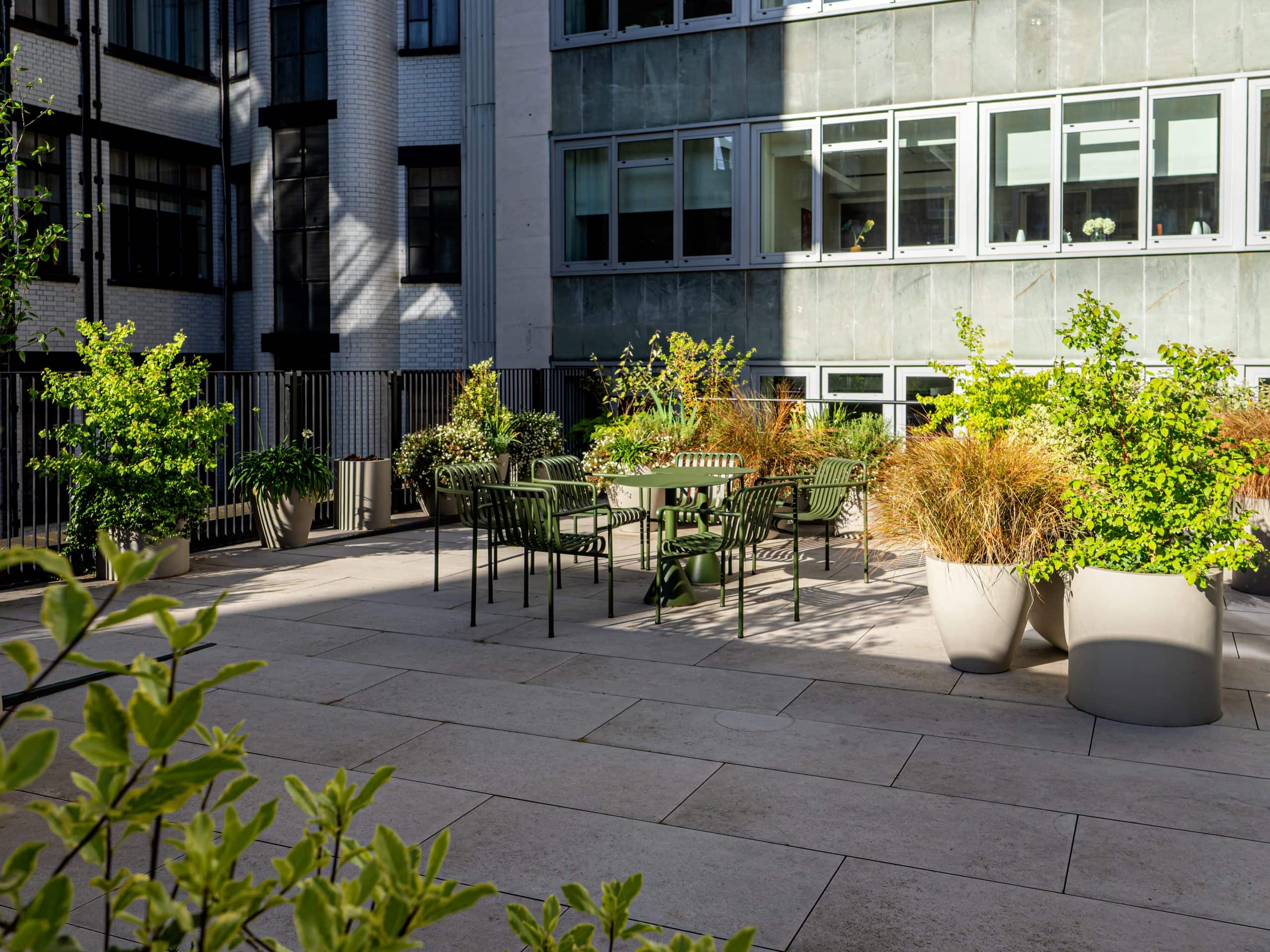 Light Water Plants, Supply and Maintenance of Office Plants, London & the South