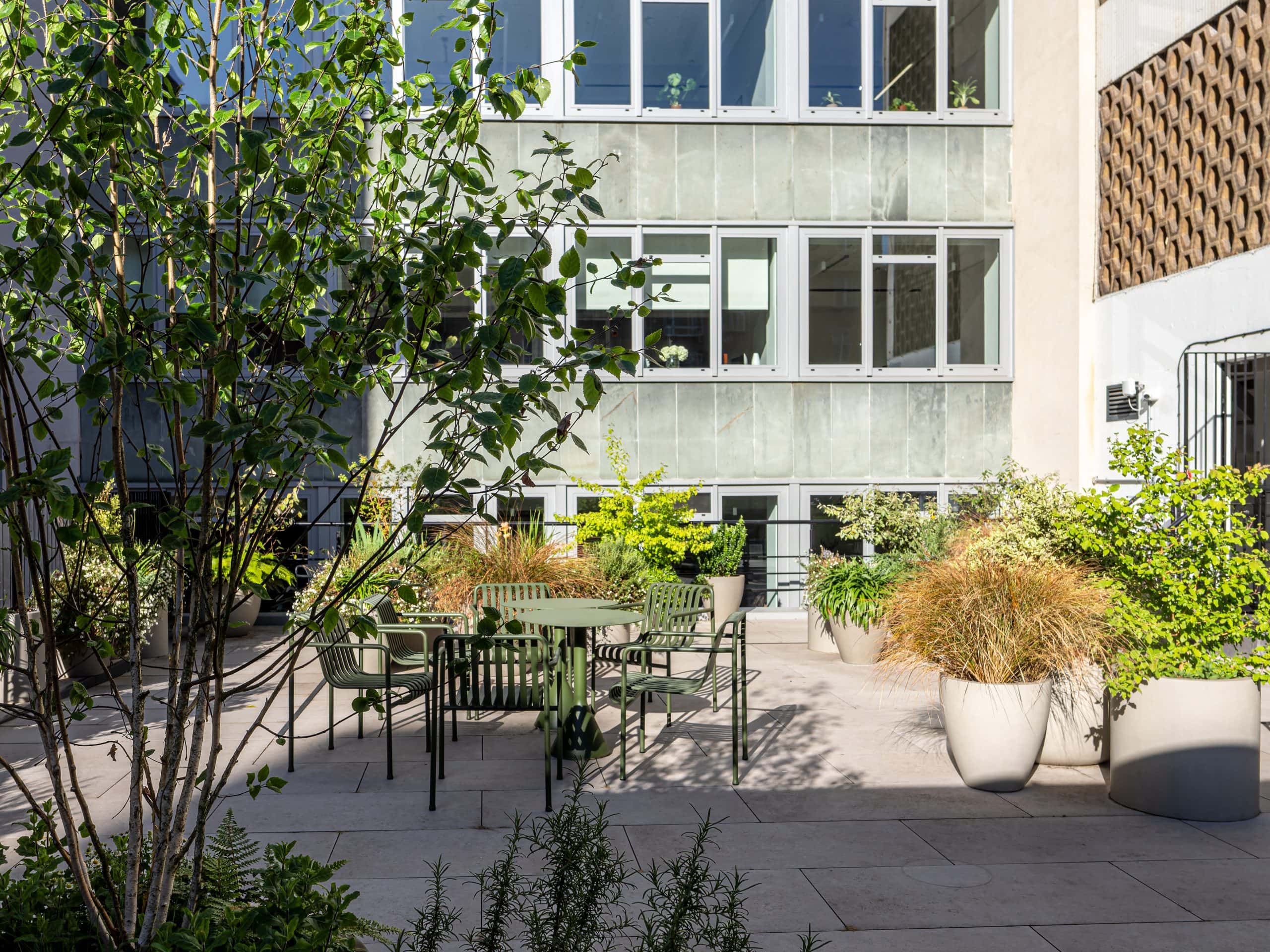 Light Water Plants, Supply and Maintenance of Office Plants, London & the South