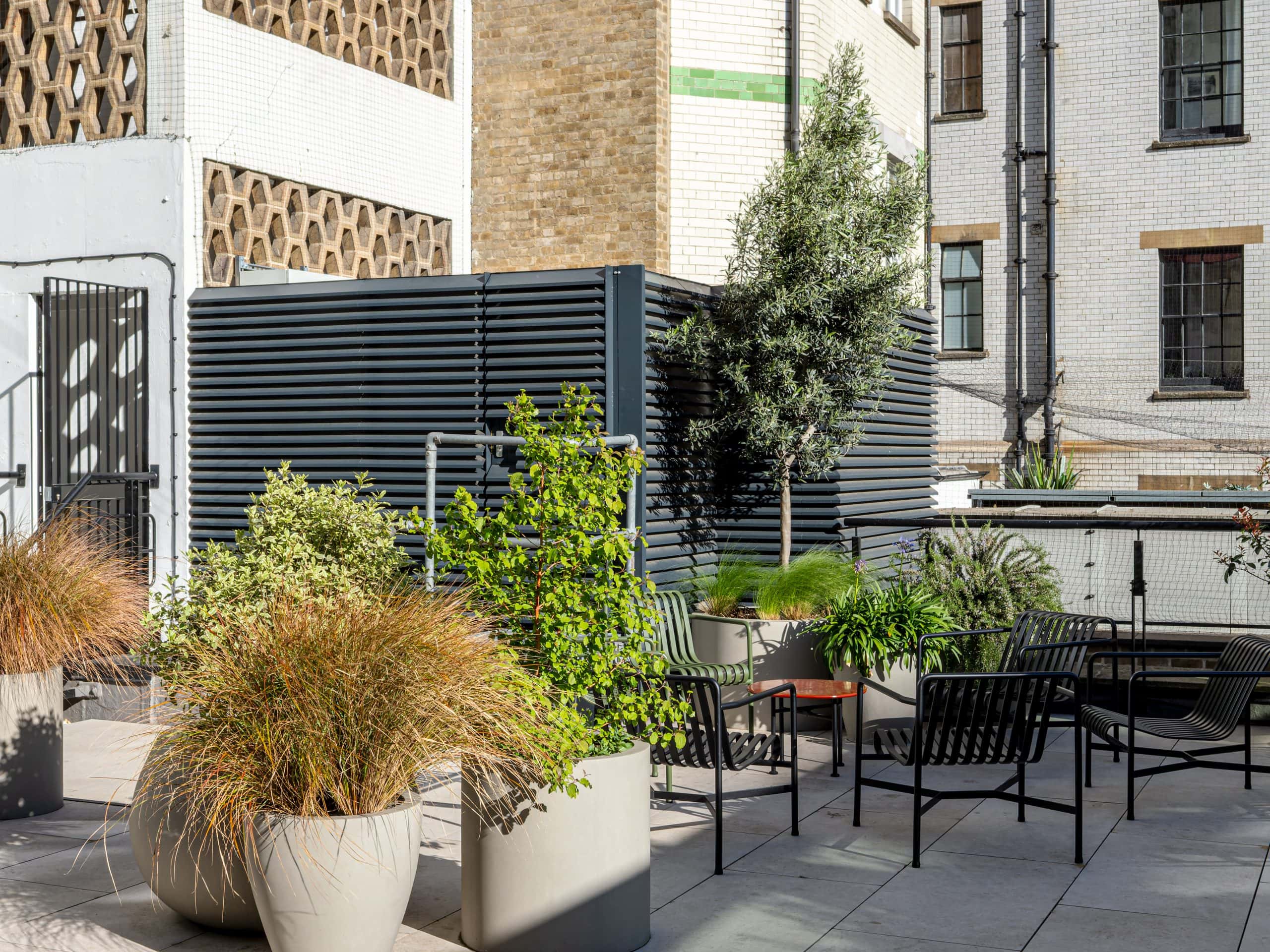 Indoor and Outdoor Plants For London & The South Businesses
