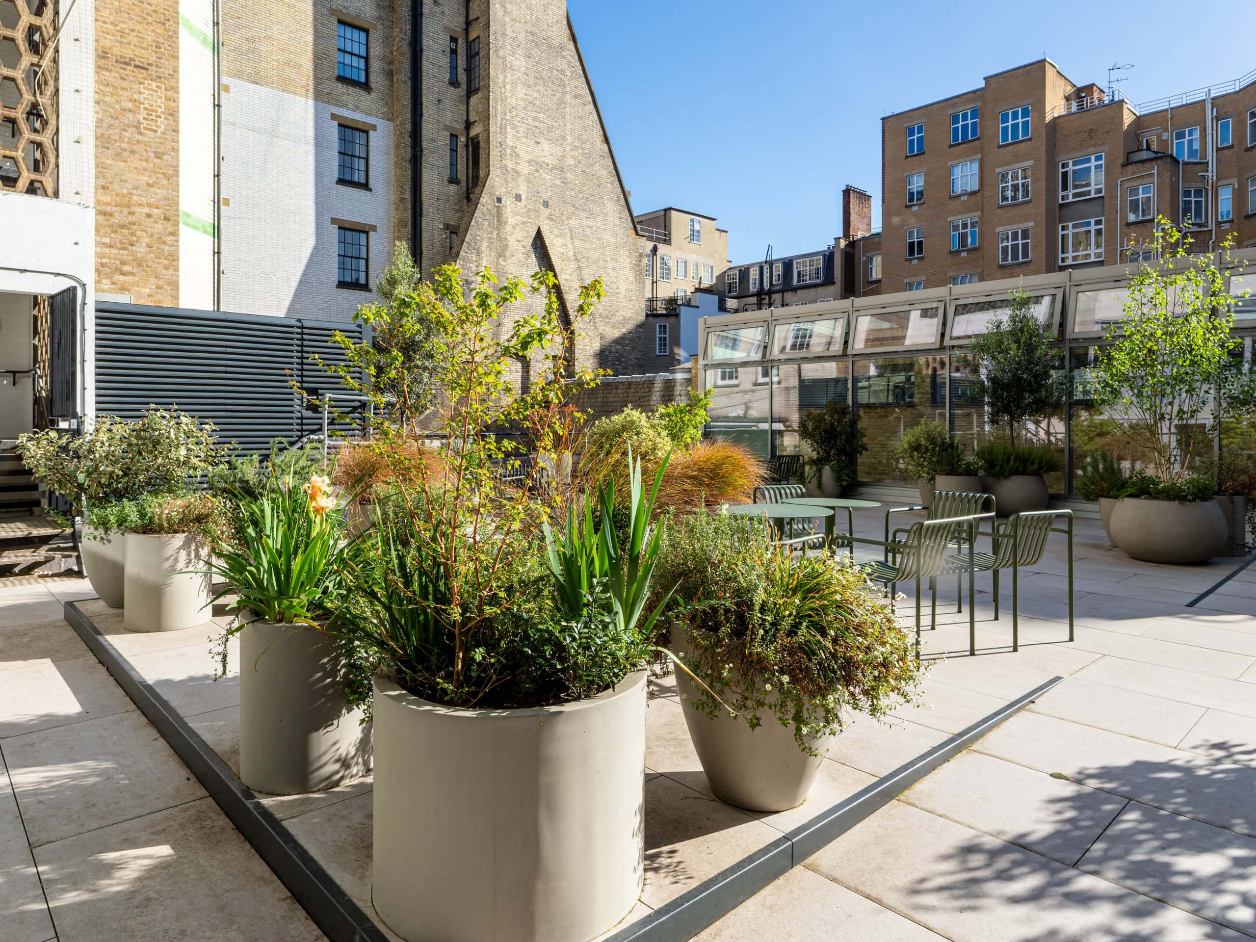 Light Water Plants, Supply and Maintenance of Office Plants, London & the South