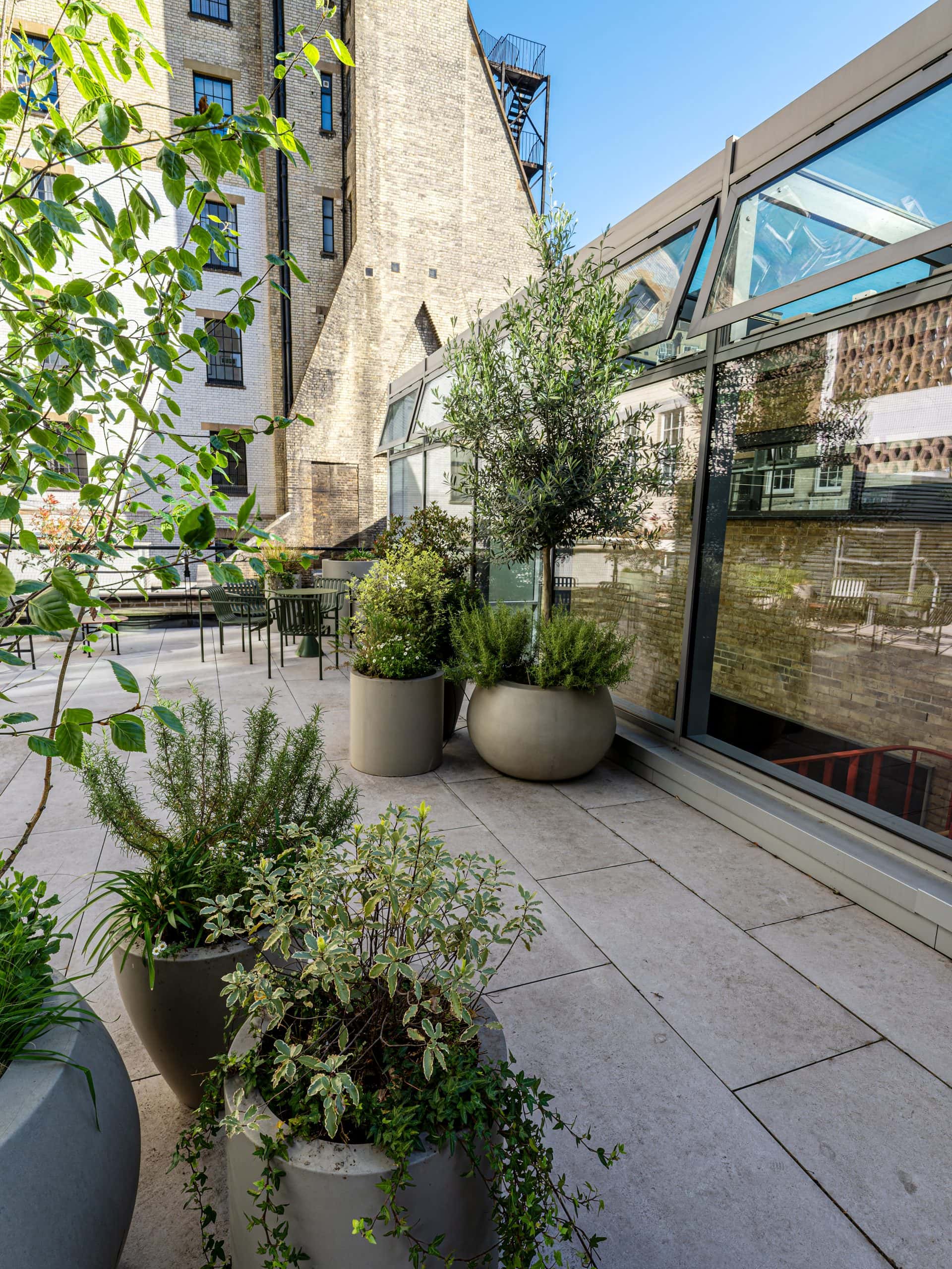 Outdoor Plants and Garden Maintenance