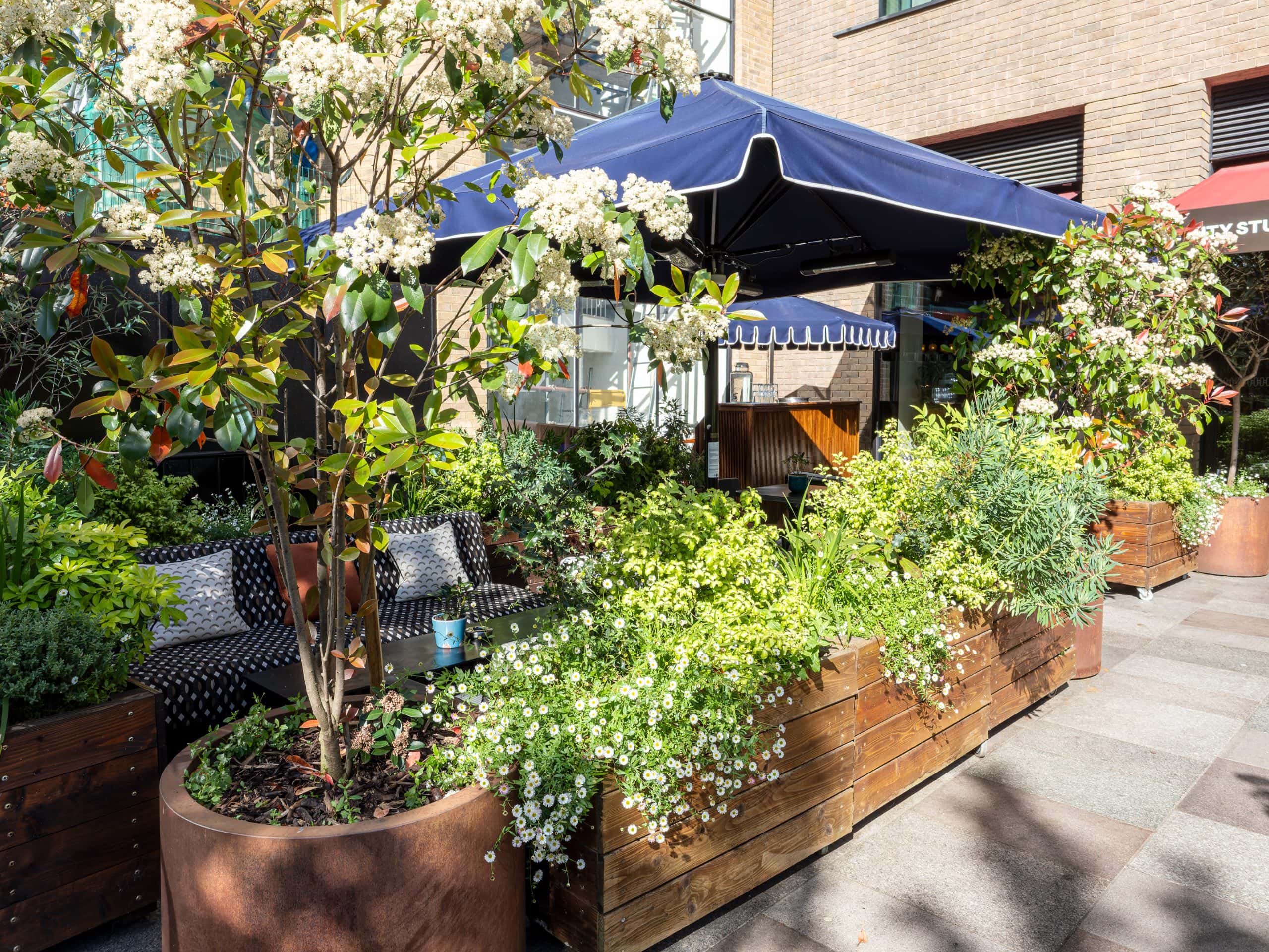 Case Studies ofIndoor and Outdoor Plants For Businesses in London & The South by Light Water Plants