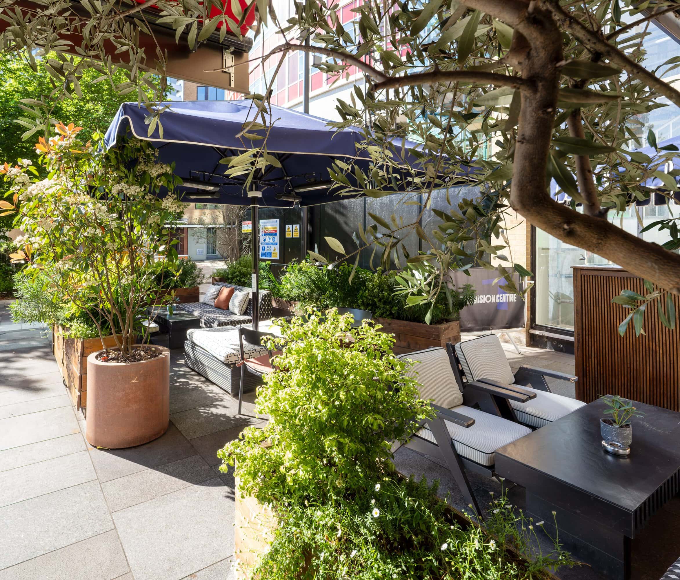 Light Water Plants, Supply and Maintenance of Office Plants, London & the South