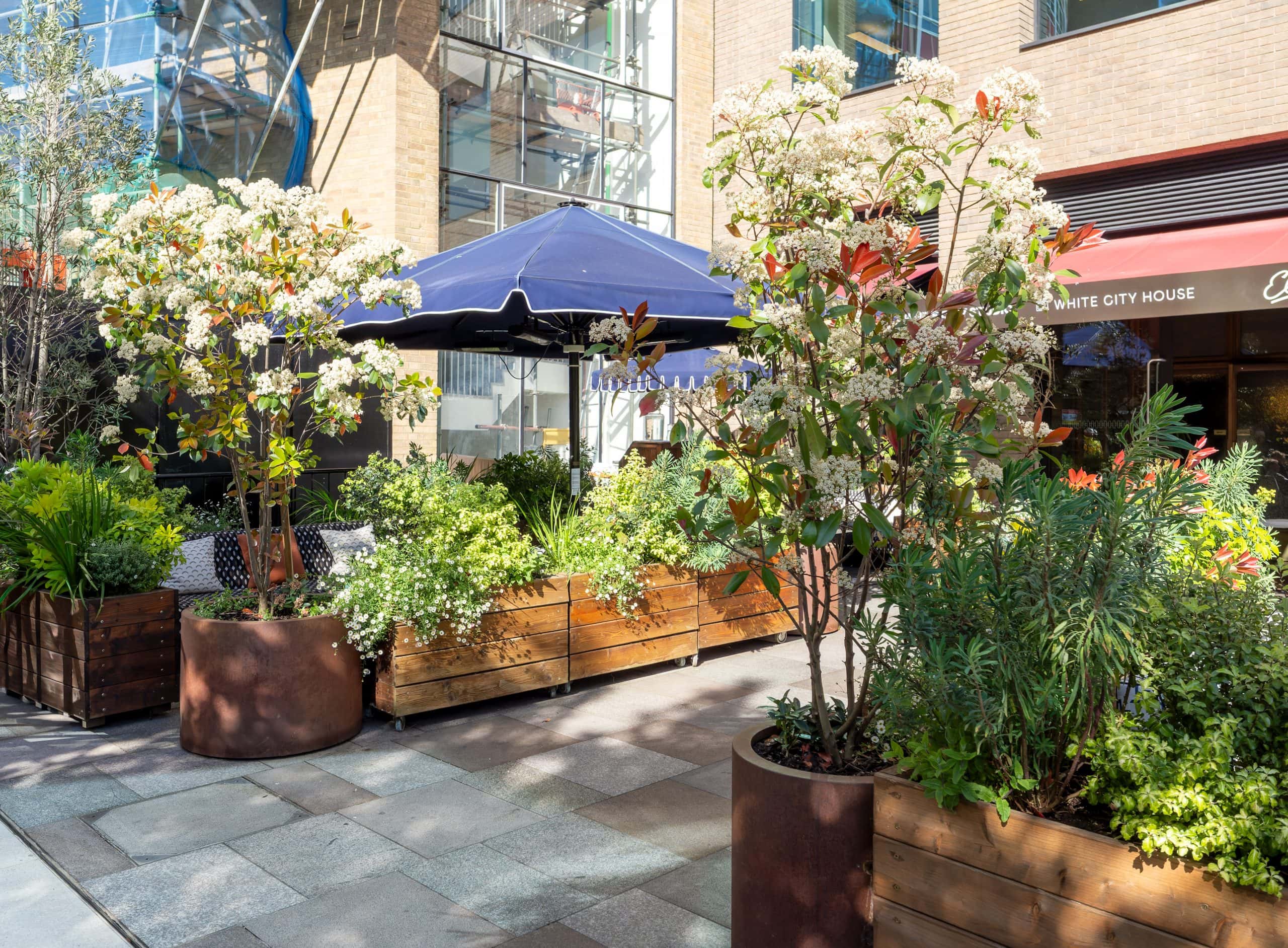 Outdoor Plants and Garden Maintenance