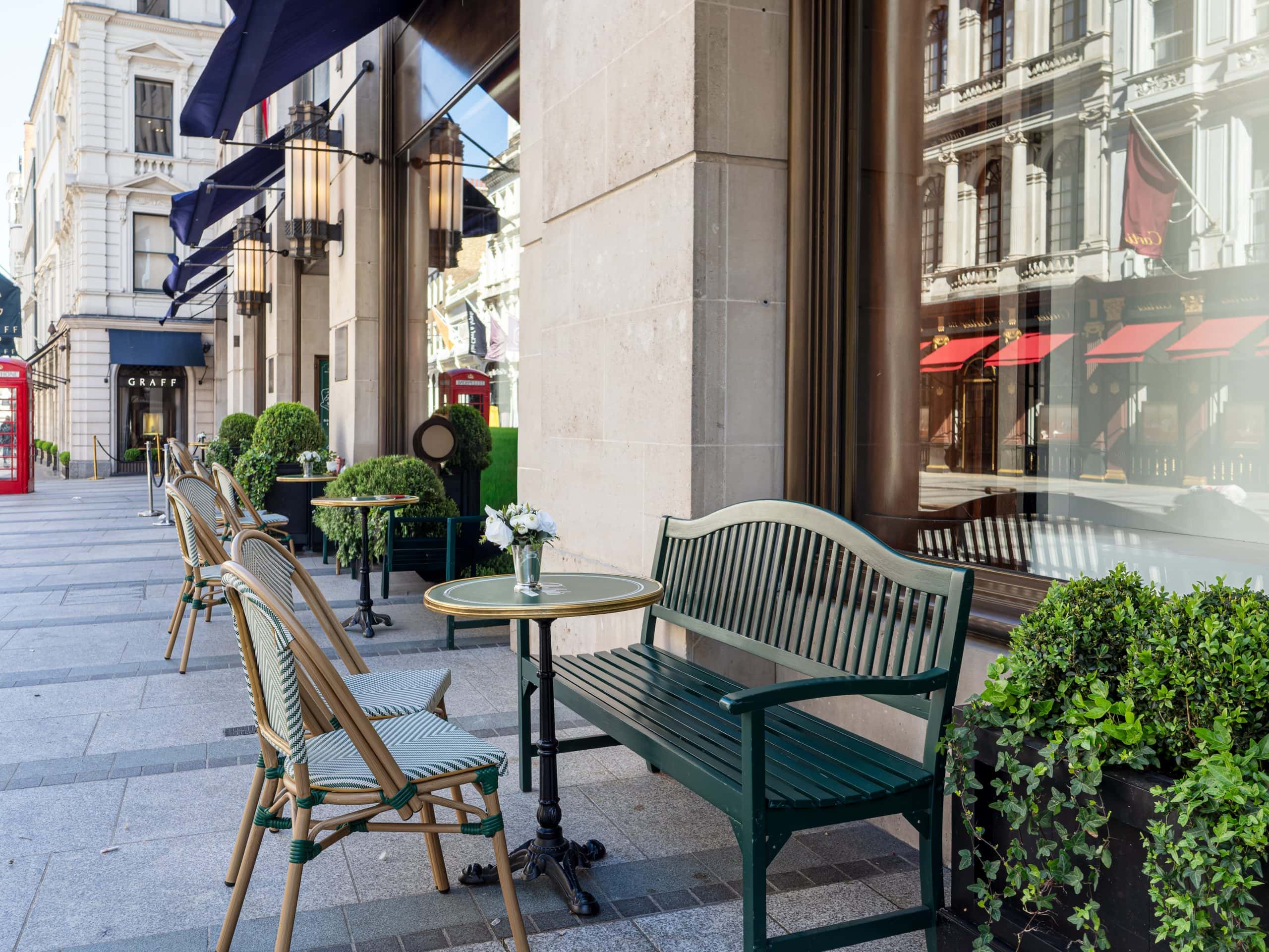 Light Water Plants, Supply and Maintenance of Office Plants, London & the South