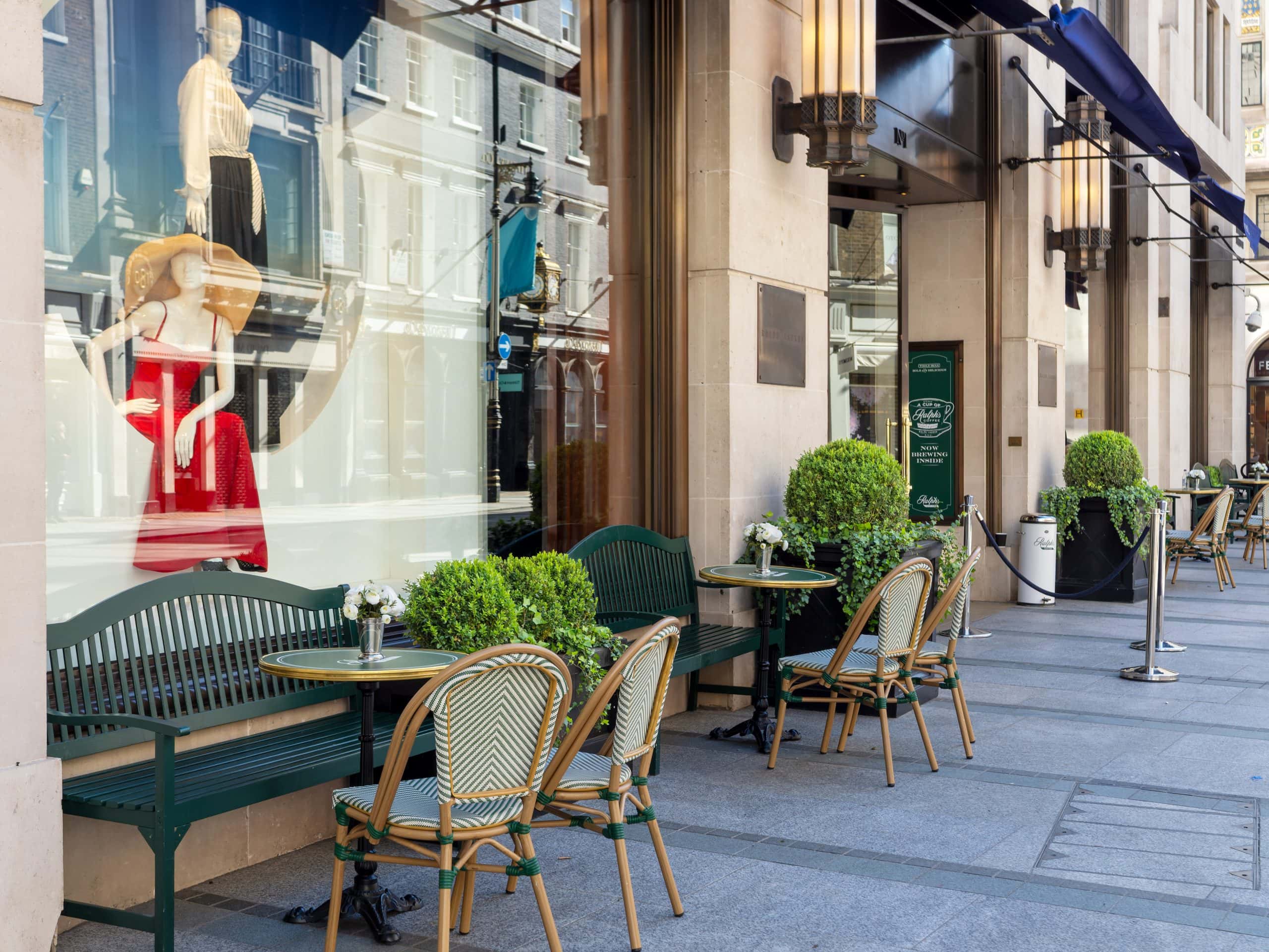 Indoor and Outdoor Plants For London & The South Businesses