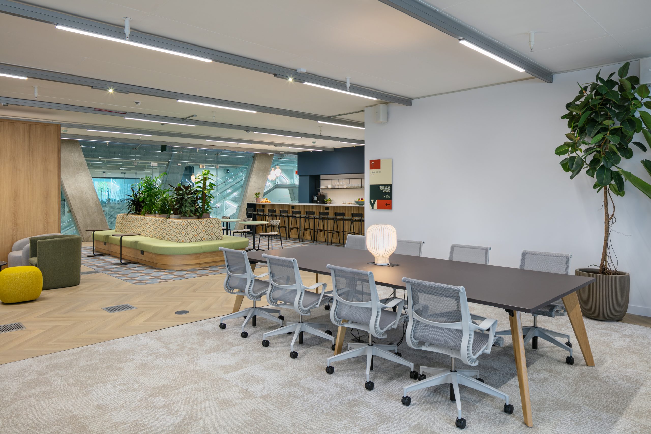 Light Water Plants, Supply and Maintenance of Office Plants, London & the South