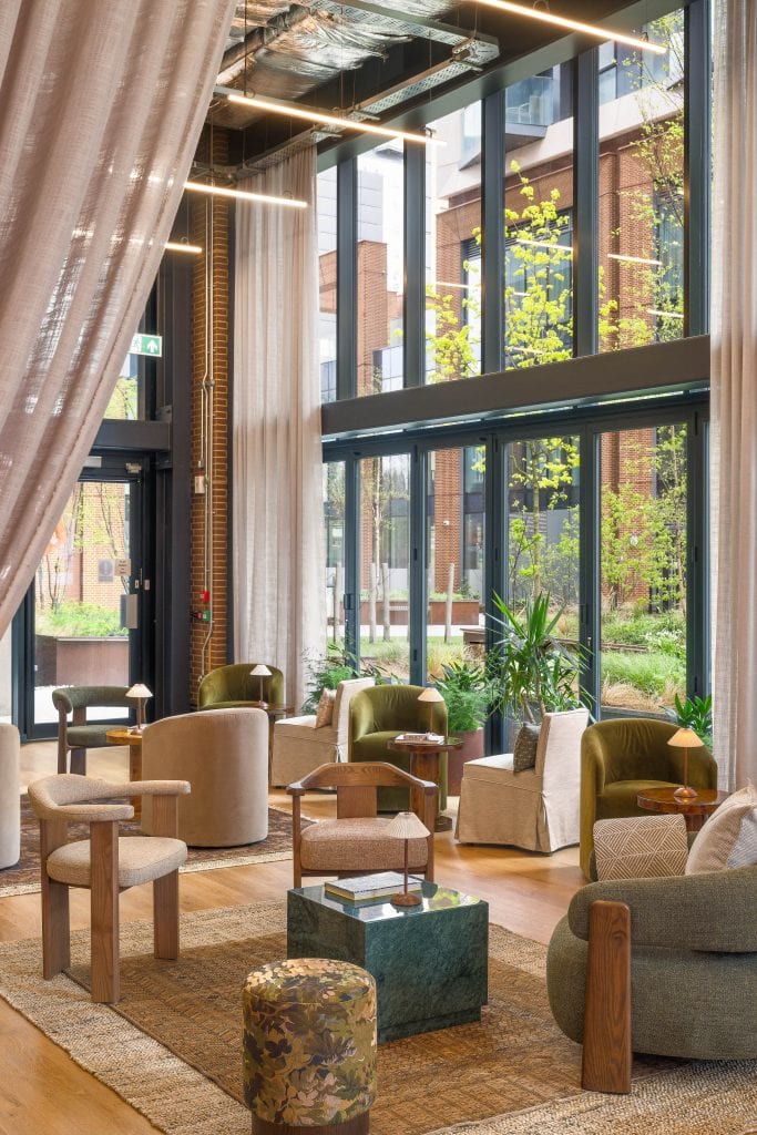 Light Water Plants, Supply and Maintenance of Office Plants, London & the South