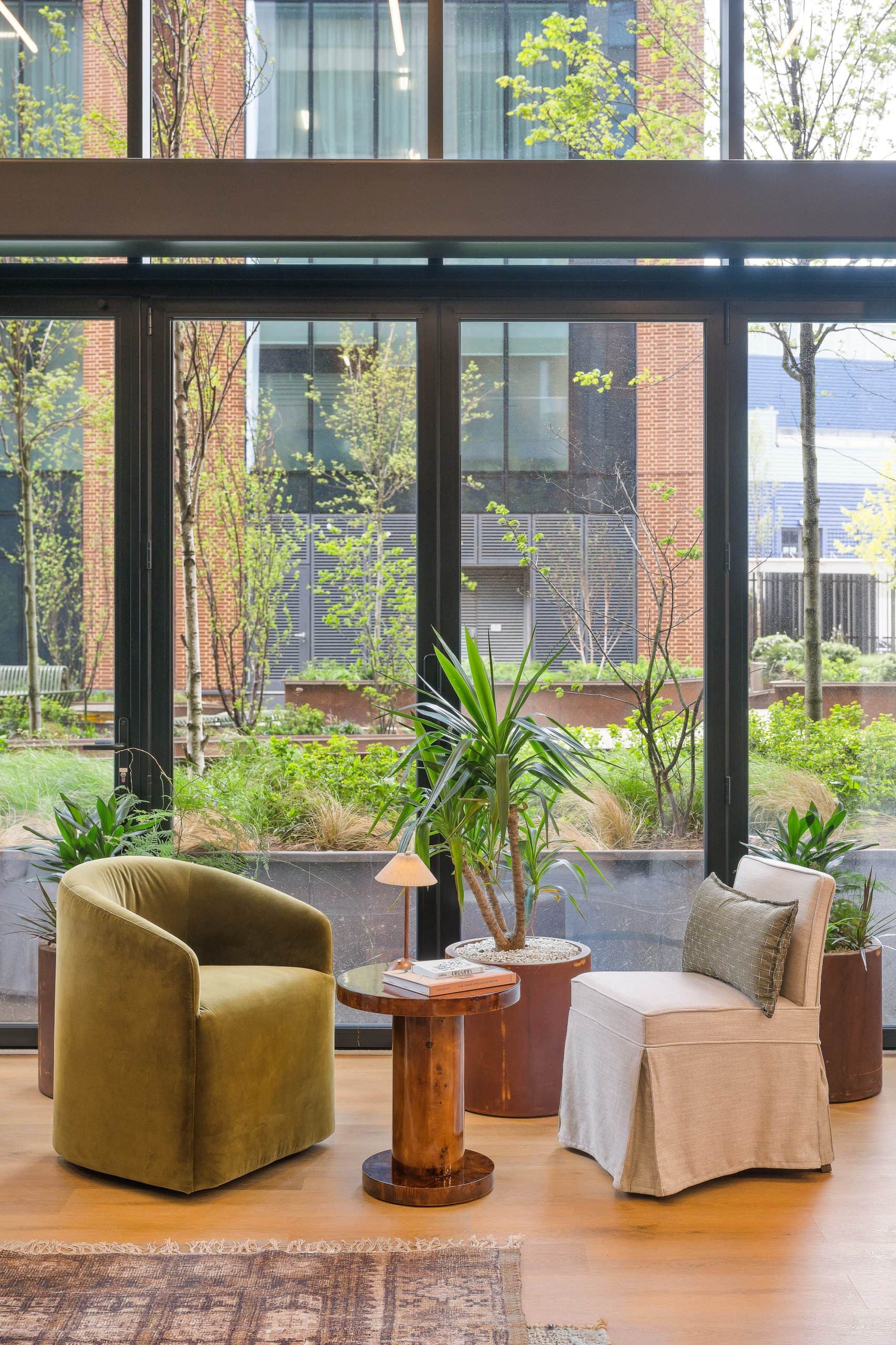 Light Water Plants, Supply and Maintenance of Office Plants, London & the South