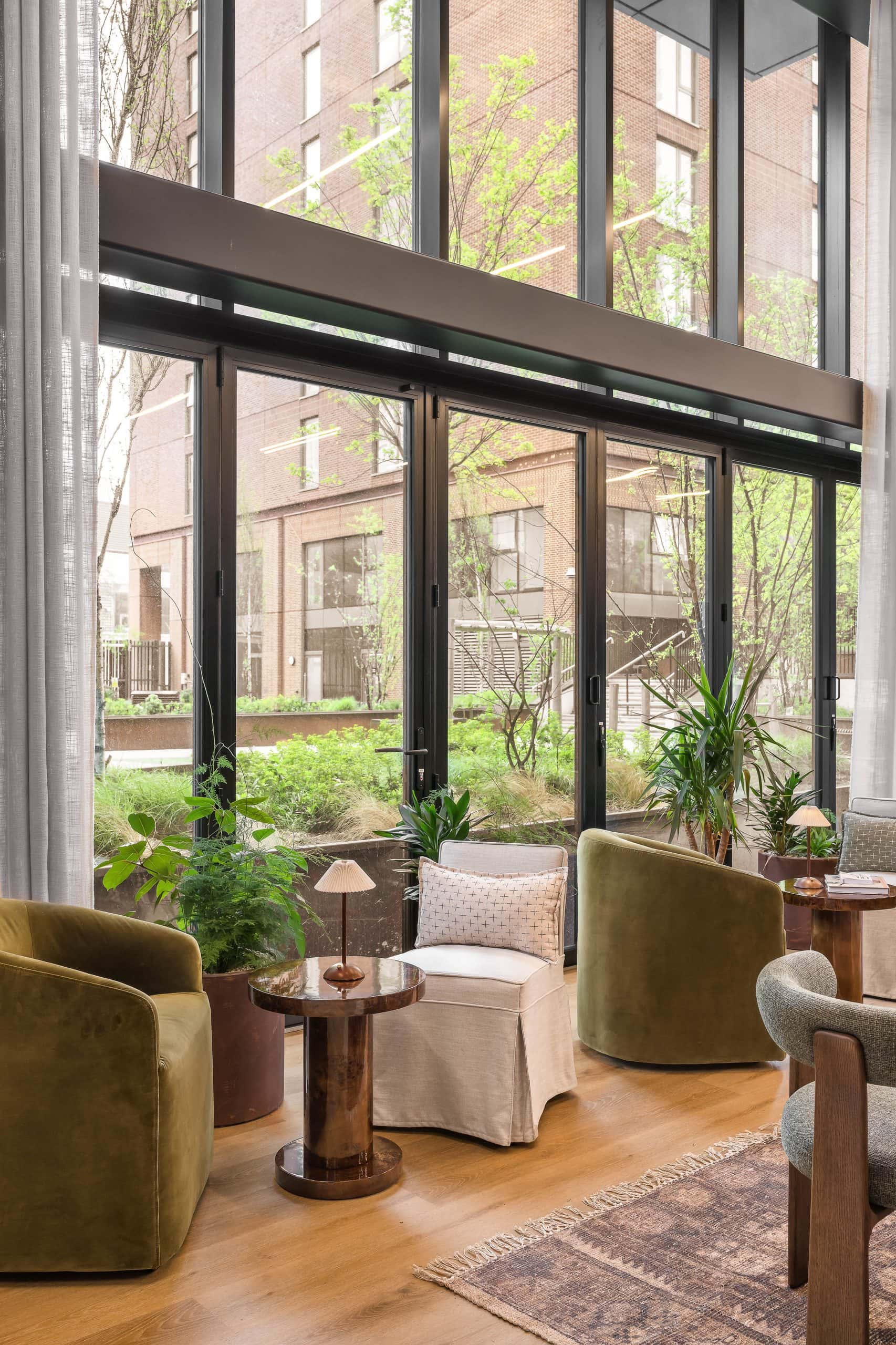 Light Water Plants, Supply and Maintenance of Office Plants, London & the South