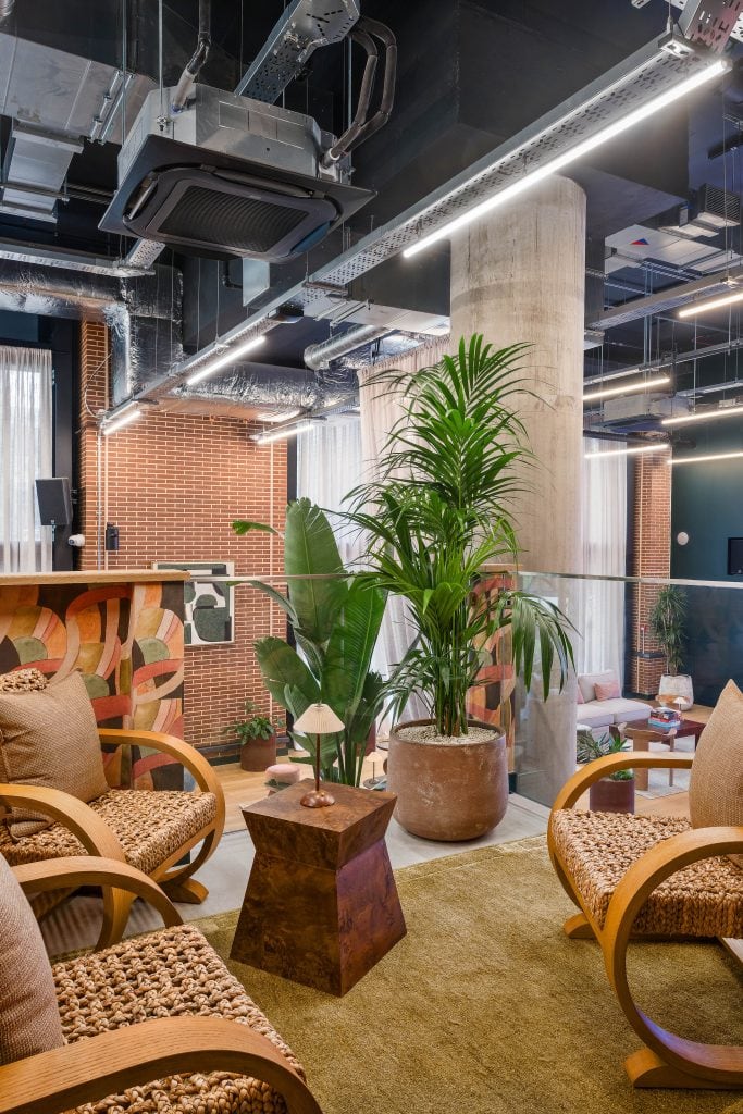 Light Water Plants, Supply and Maintenance of Office Plants, London & the South