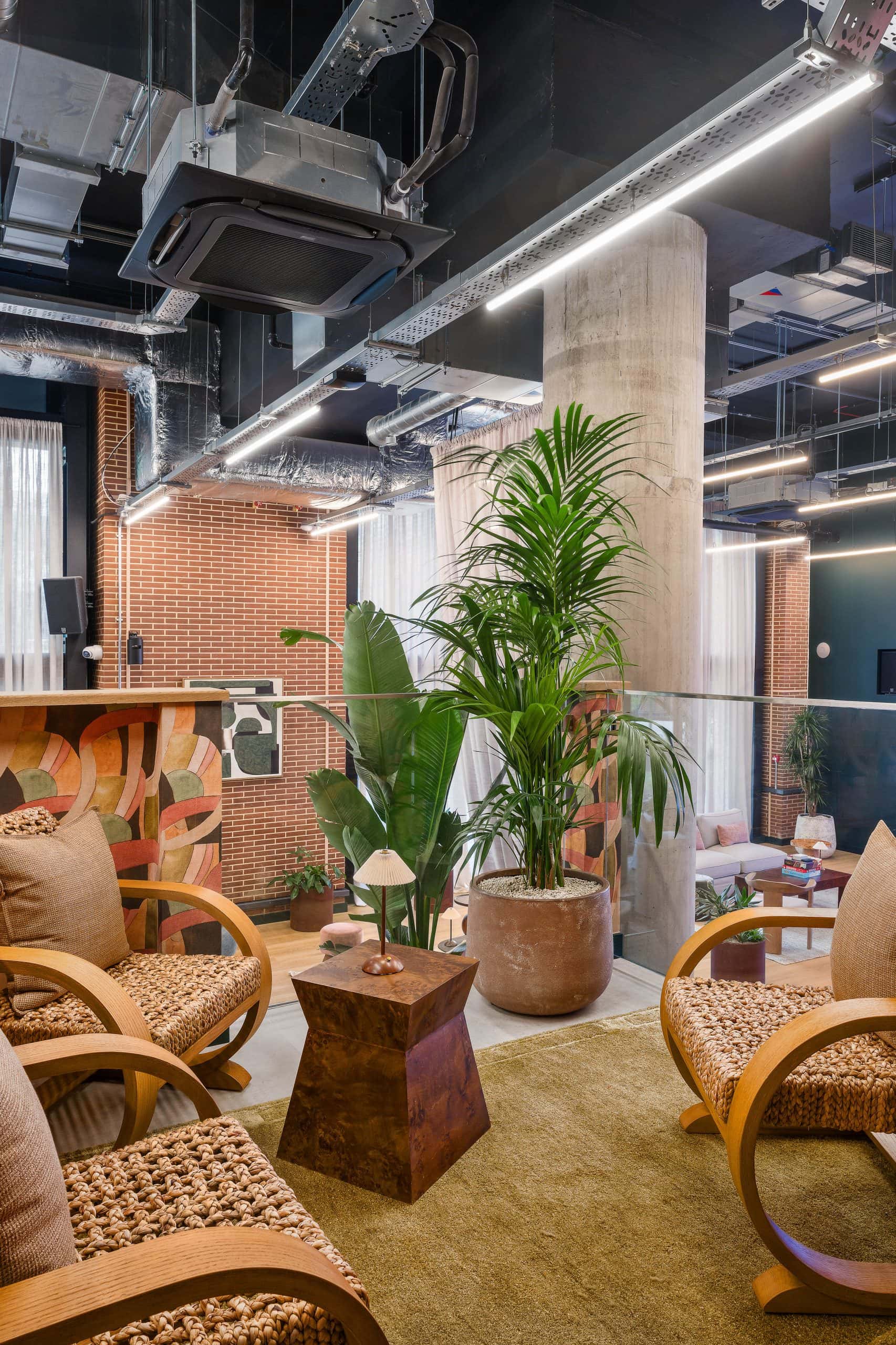 Light Water Plants, Supply and Maintenance of Office Plants, London & the South