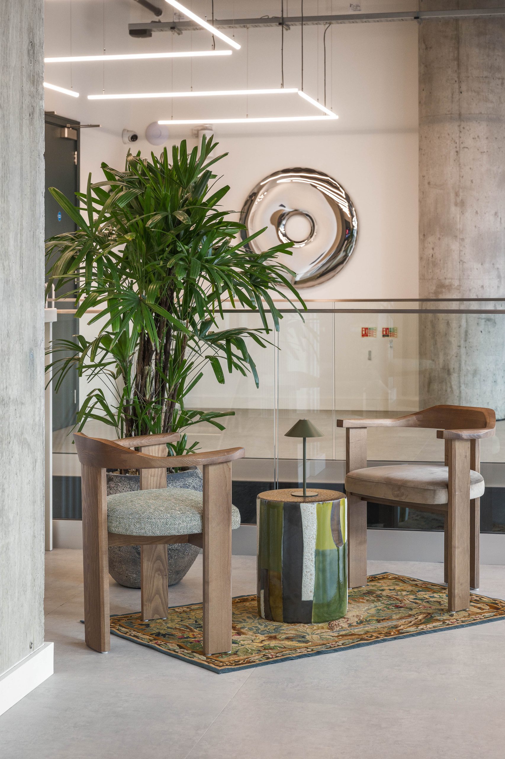 Light Water Plants, Supply and Maintenance of Office Plants, London & the South