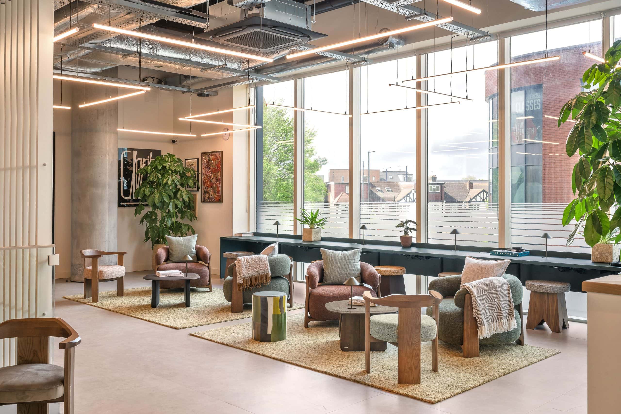 Light Water Plants, Supply and Maintenance of Office Plants, London & the South