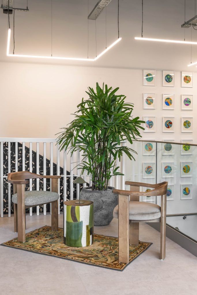 Light Water Plants, Supply and Maintenance of Office Plants, London & the South