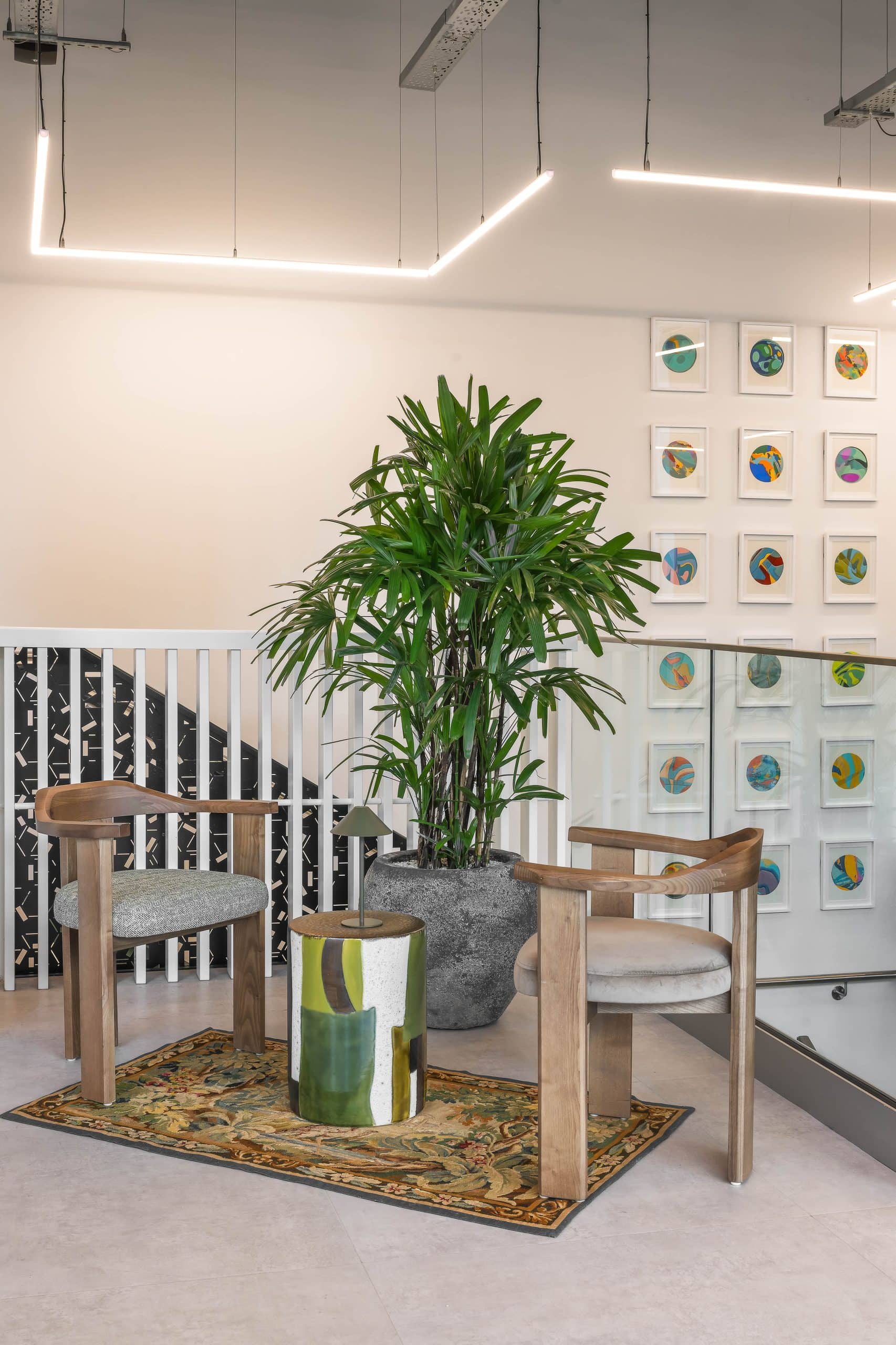 Light Water Plants, Supply and Maintenance of Office Plants, London & the South