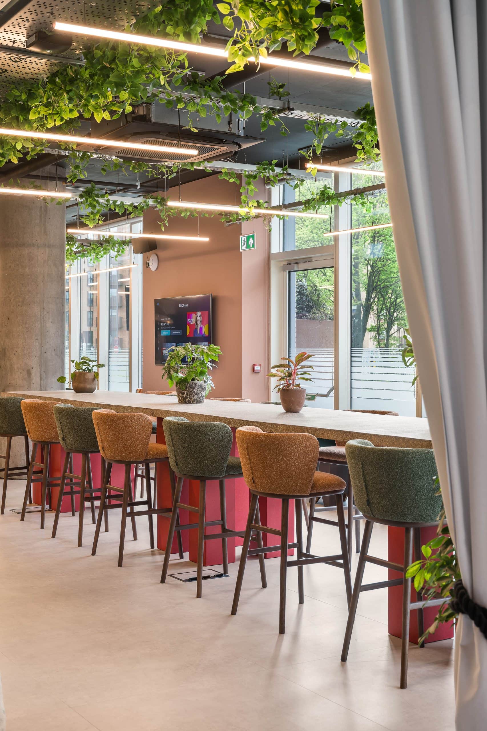 Light Water Plants, Supply and Maintenance of Office Plants, London & the South