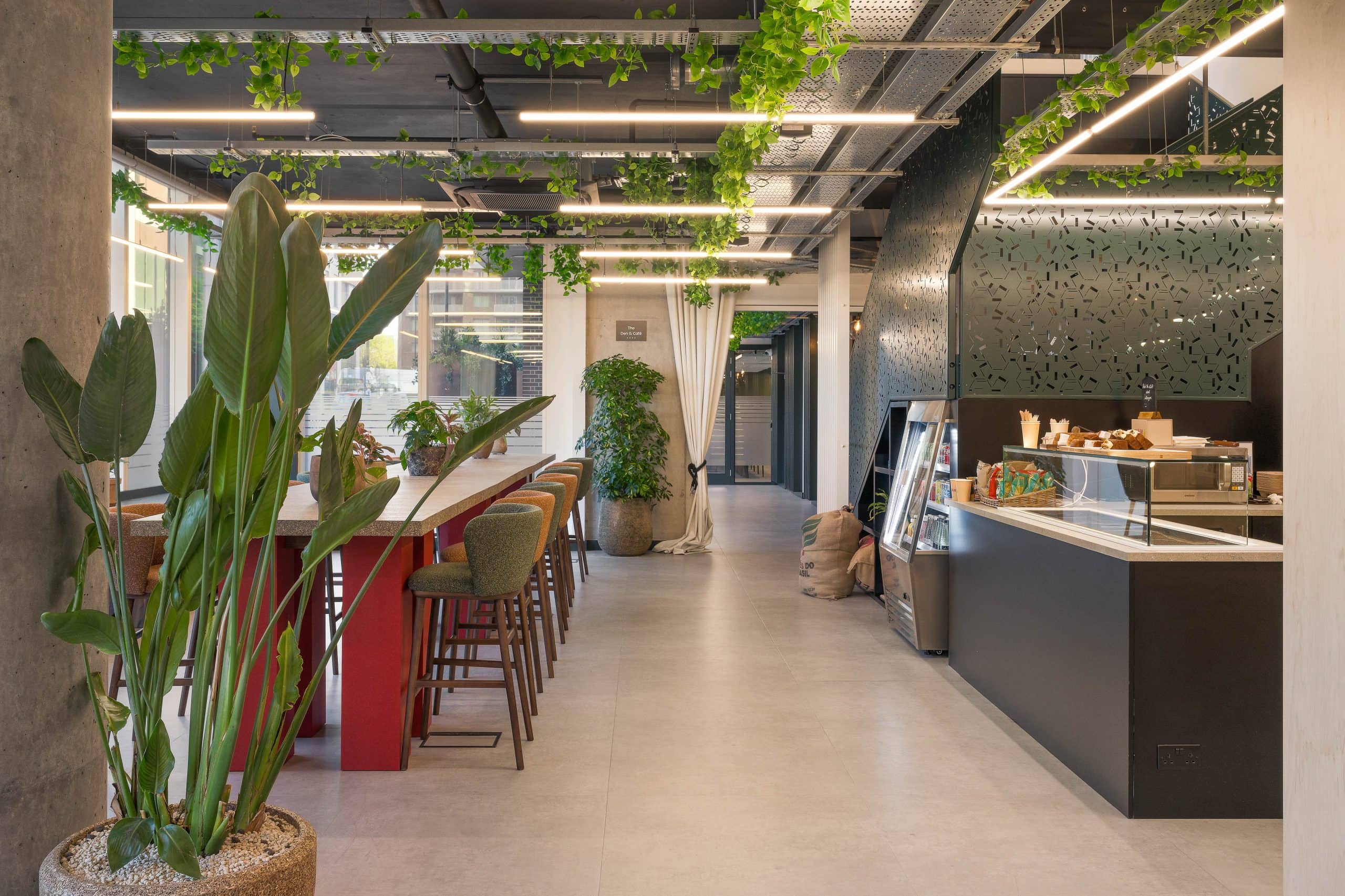 Light Water Plants, Supply and Maintenance of Office Plants, London & the South