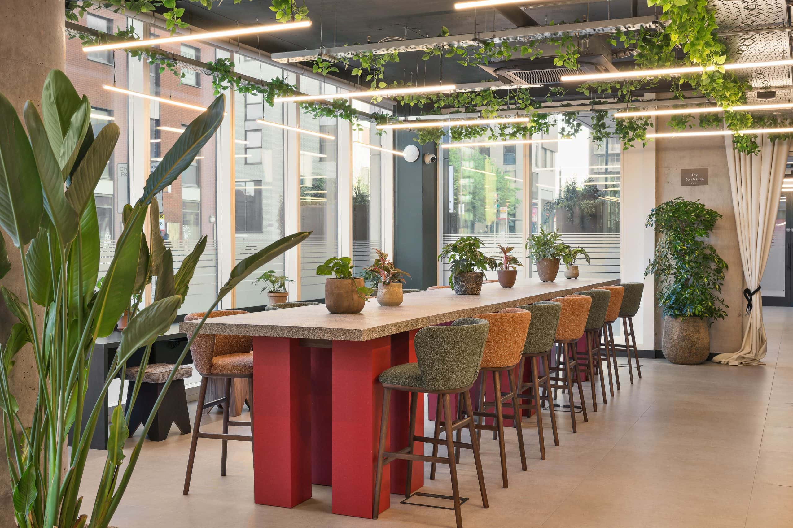 Light Water Plants, Supply and Maintenance of Office Plants, London & the South