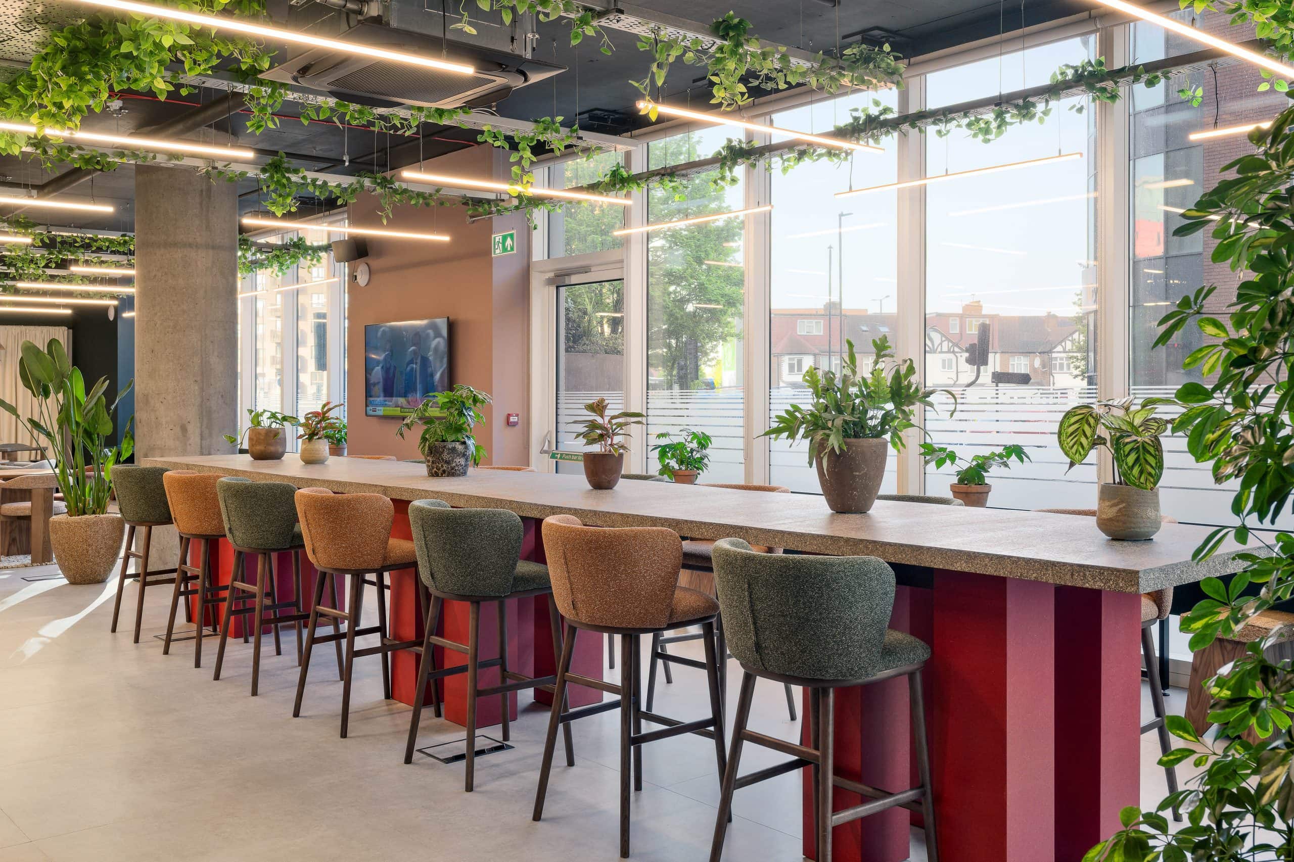 Indoor and Outdoor Plants London & SE Businesses