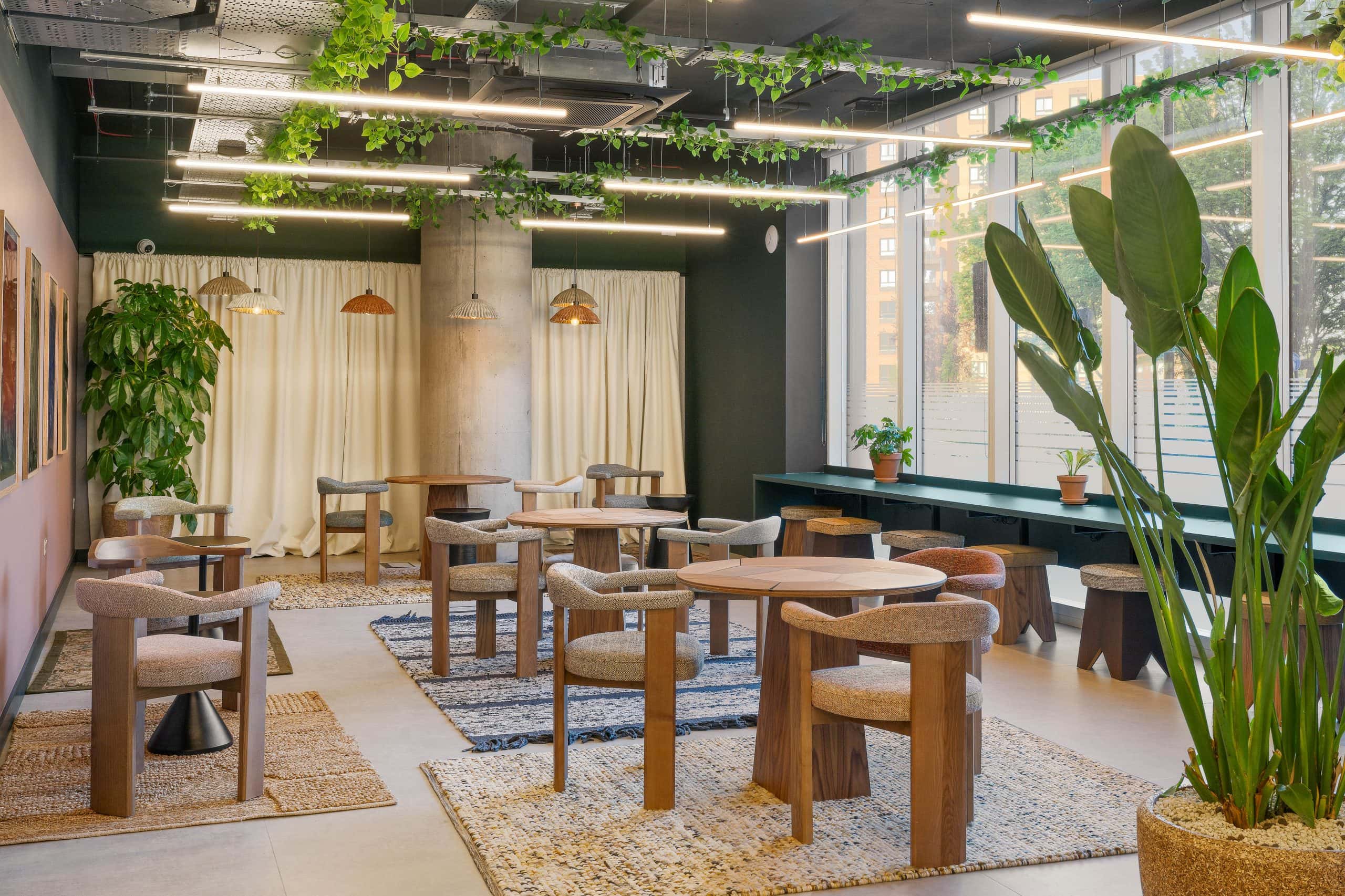 Light Water Plants, Supply and Maintenance of Office Plants, London & the South
