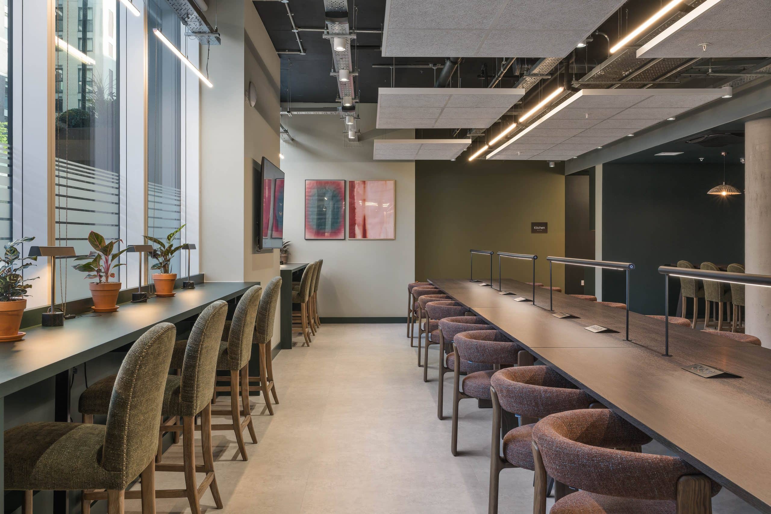 Light Water Plants, Supply and Maintenance of Office Plants, London & the South