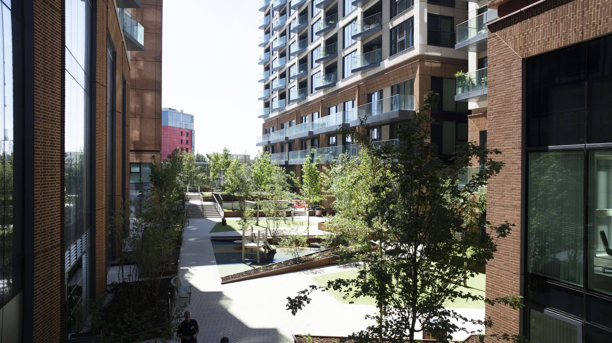 Light Water Plants, Supply and Maintenance of Office Plants, London & the South