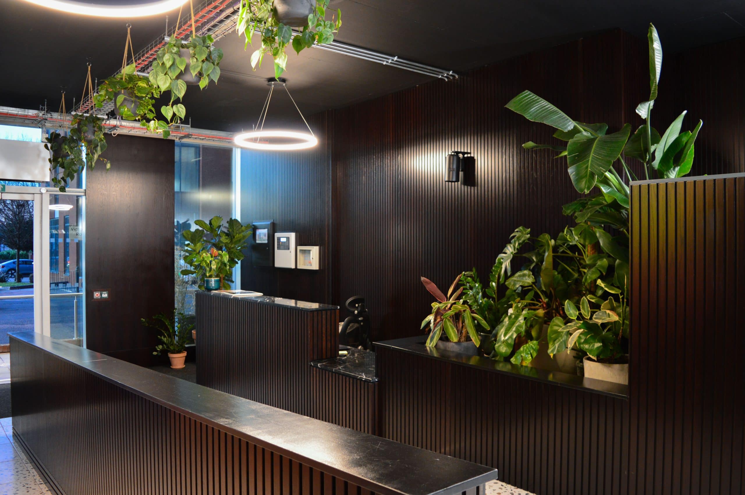 Light Water Plants, Supply and Maintenance of Office Plants, London & the South
