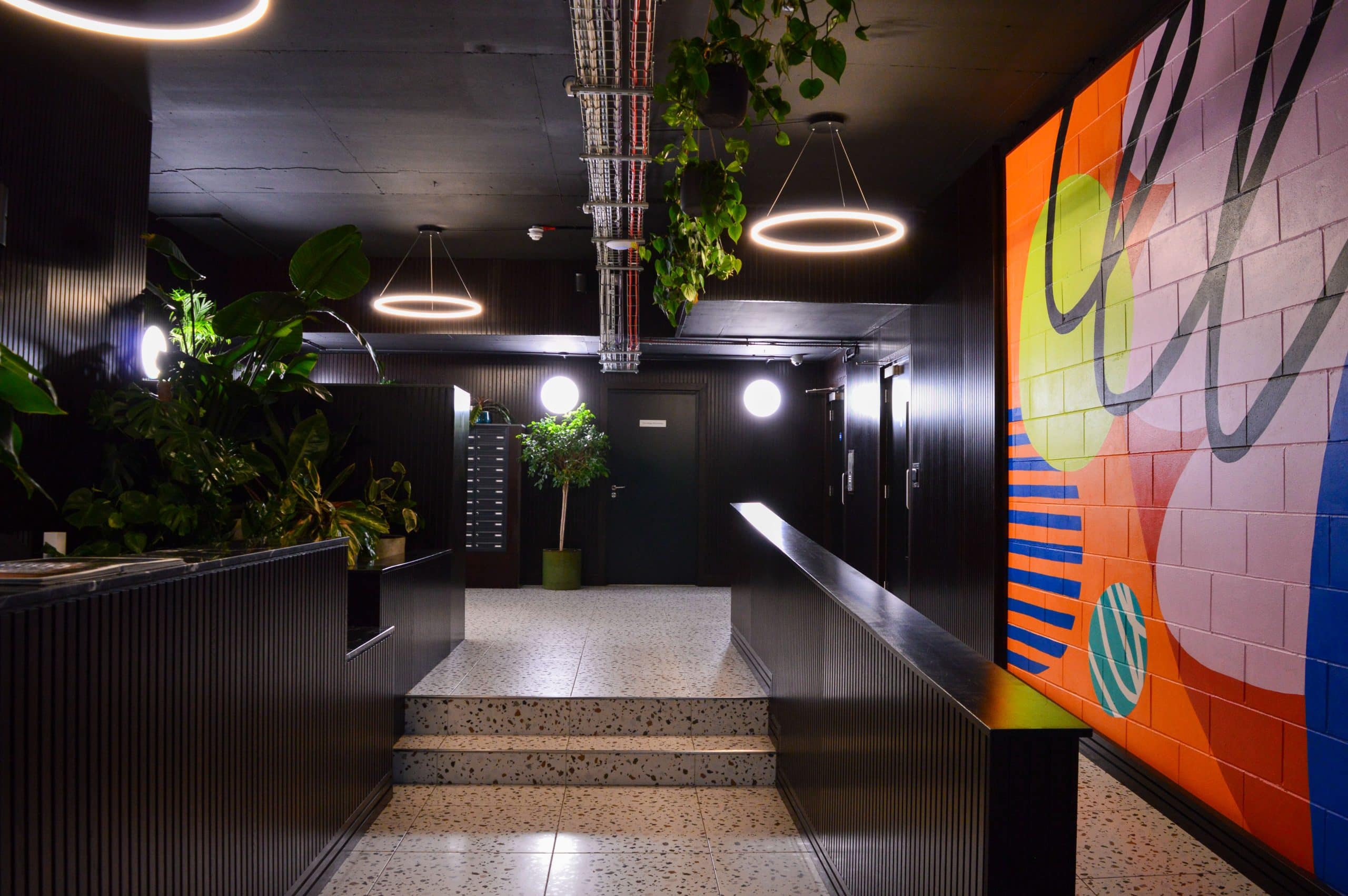 Light Water Plants, Supply and Maintenance of Office Plants, London & the South