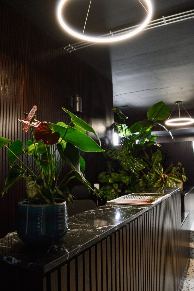 Light Water Plants, Supply and Maintenance of Office Plants, London & the South