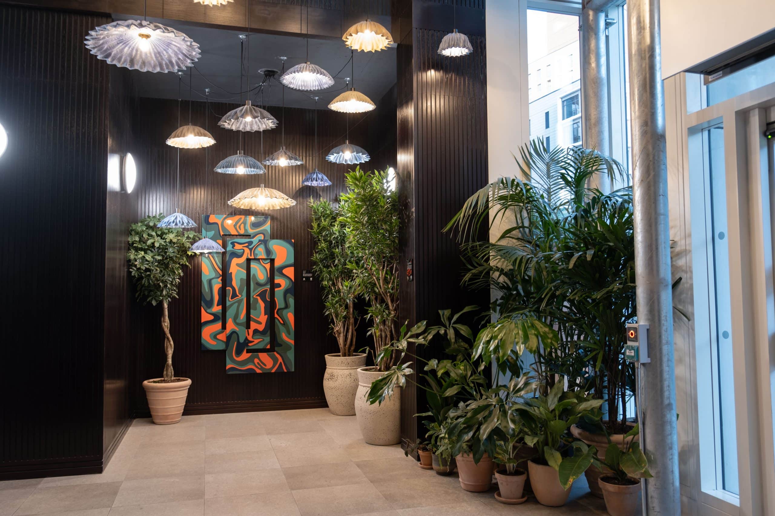 Indoor Plants Rental