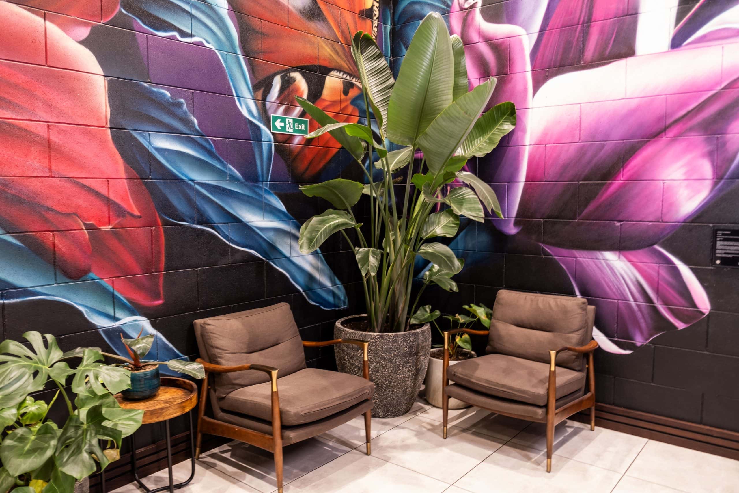 Light Water Plants, Supply and Maintenance of Office Plants, London & the South