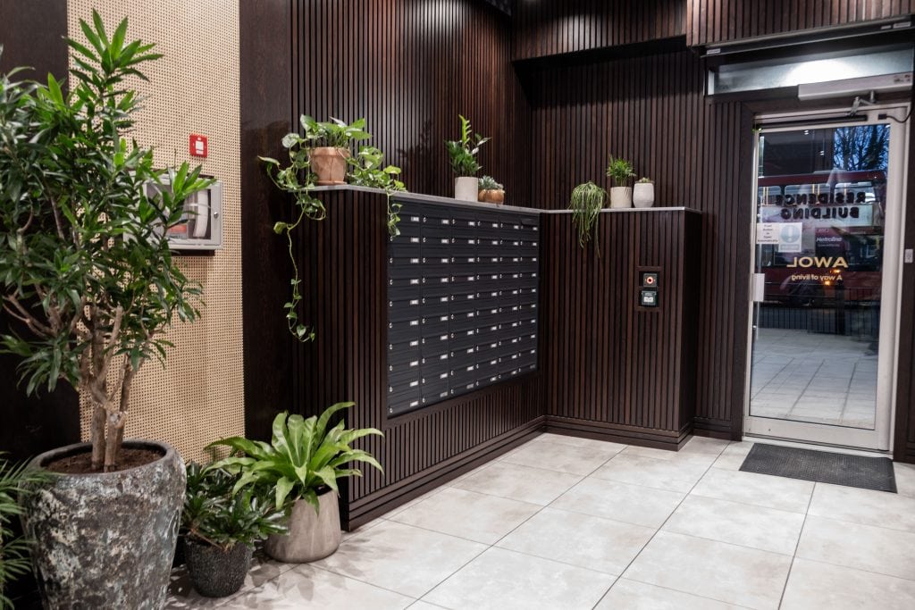 Light Water Plants, Supply and Maintenance of Office Plants, London & the South