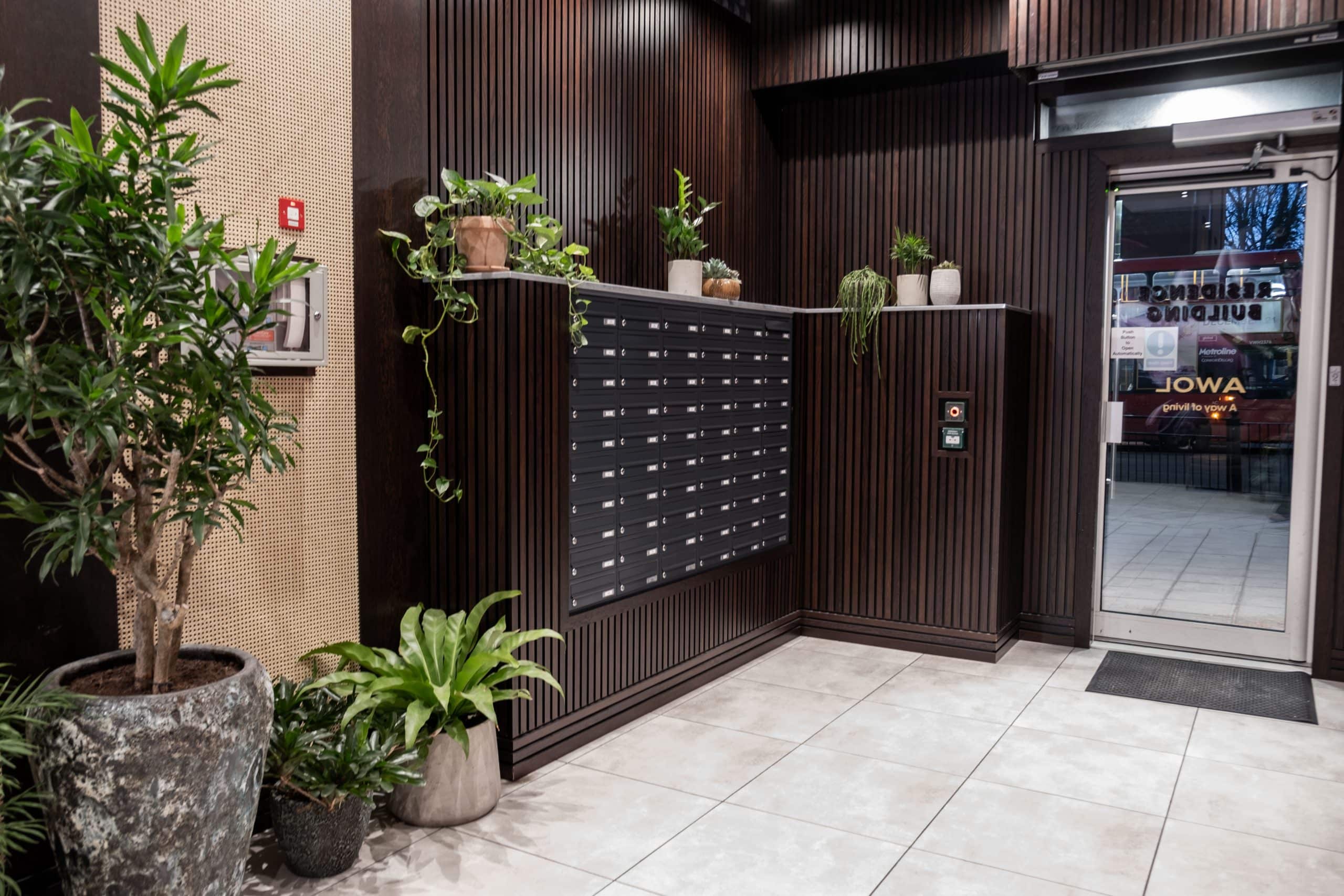 Light Water Plants, Supply and Maintenance of Office Plants, London & the South