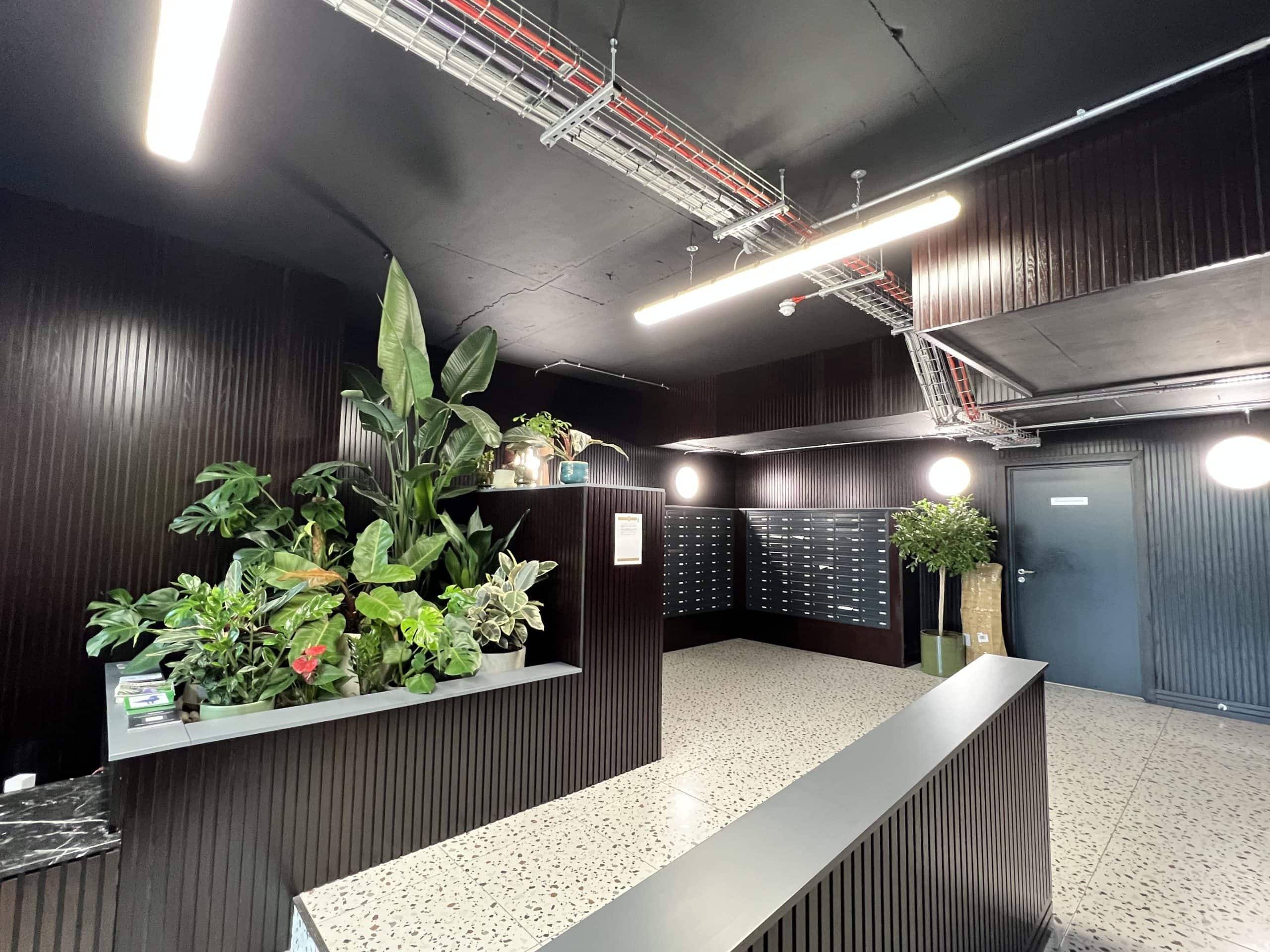 Light Water Plants, Supply and Maintenance of Office Plants, London & the South