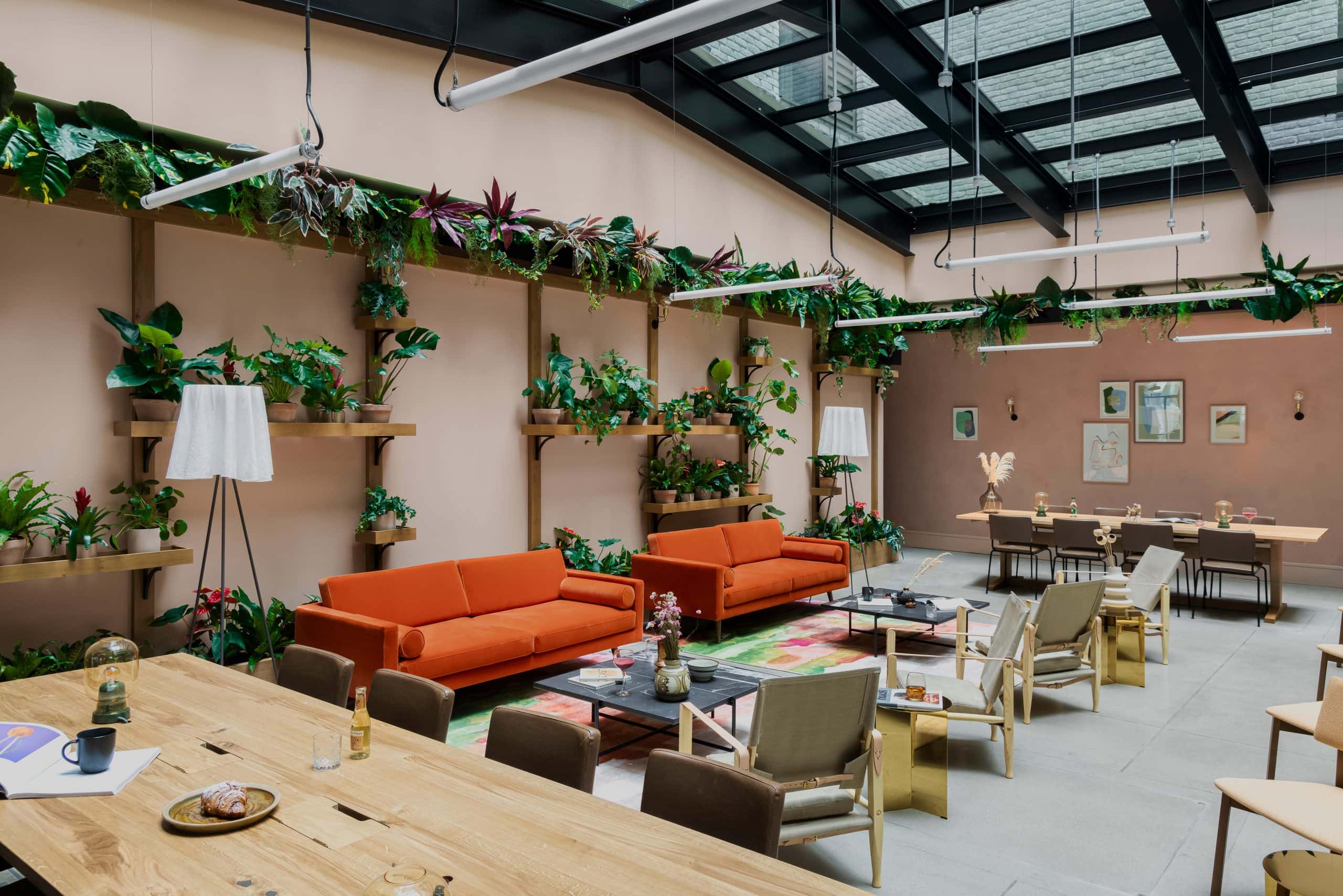 Light Water Plants, Supply and Maintenance of Office Plants, London & the South