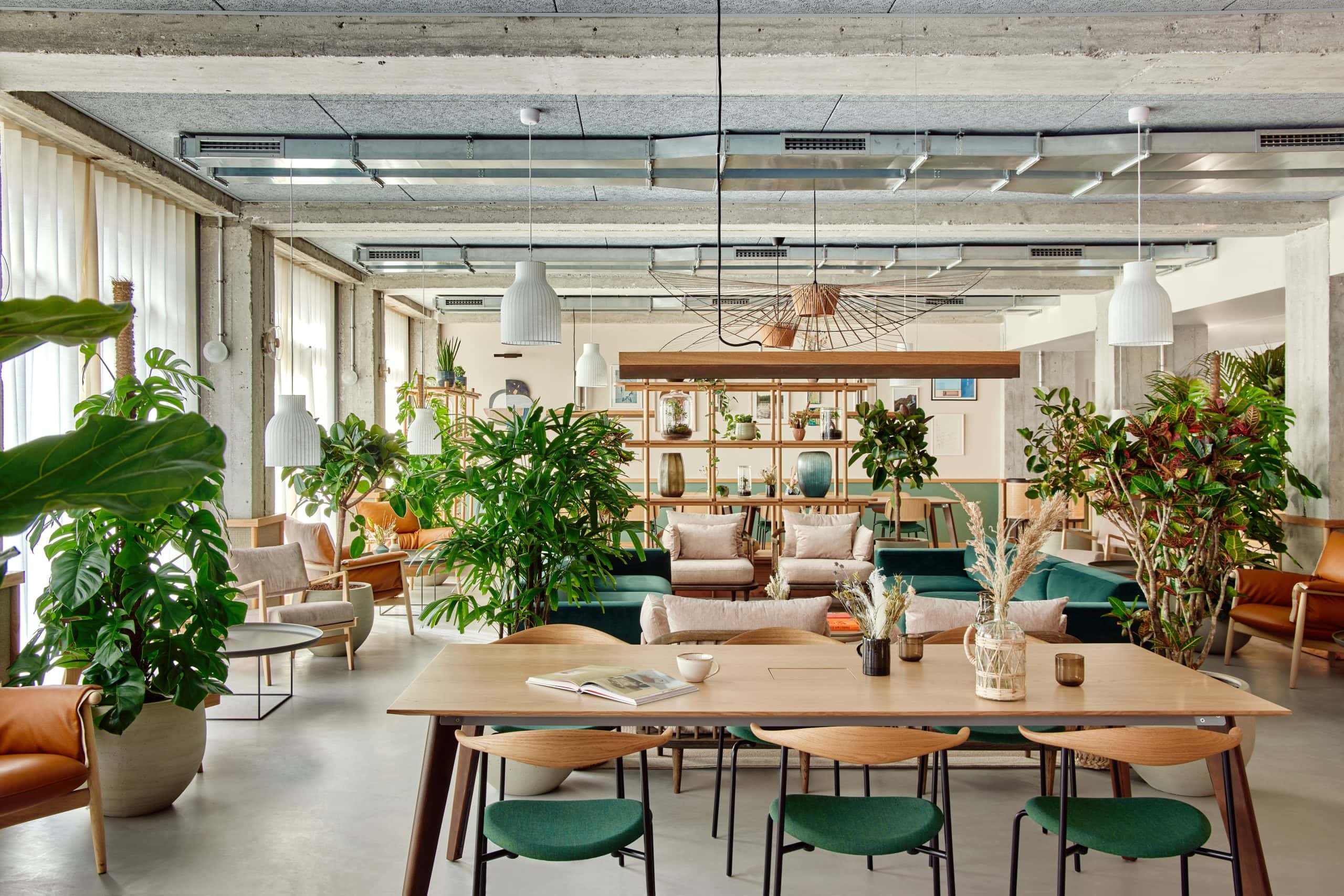 Light Water Plants, Supply and Maintenance of Office Plants, London & the South
